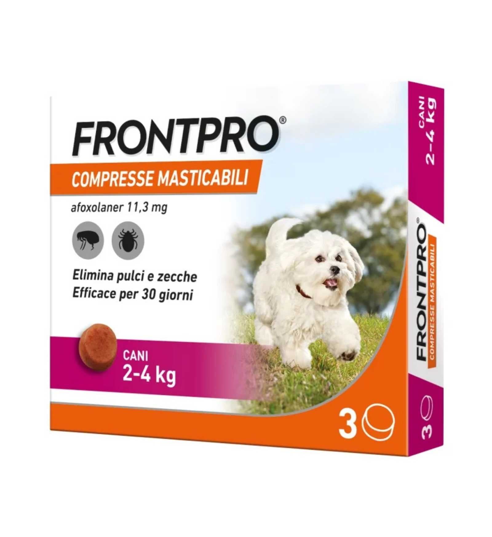 FRONTPRO105682025_1_Image.erp.items.images.105682025_01.jpg FRONTPRO105682025 picture