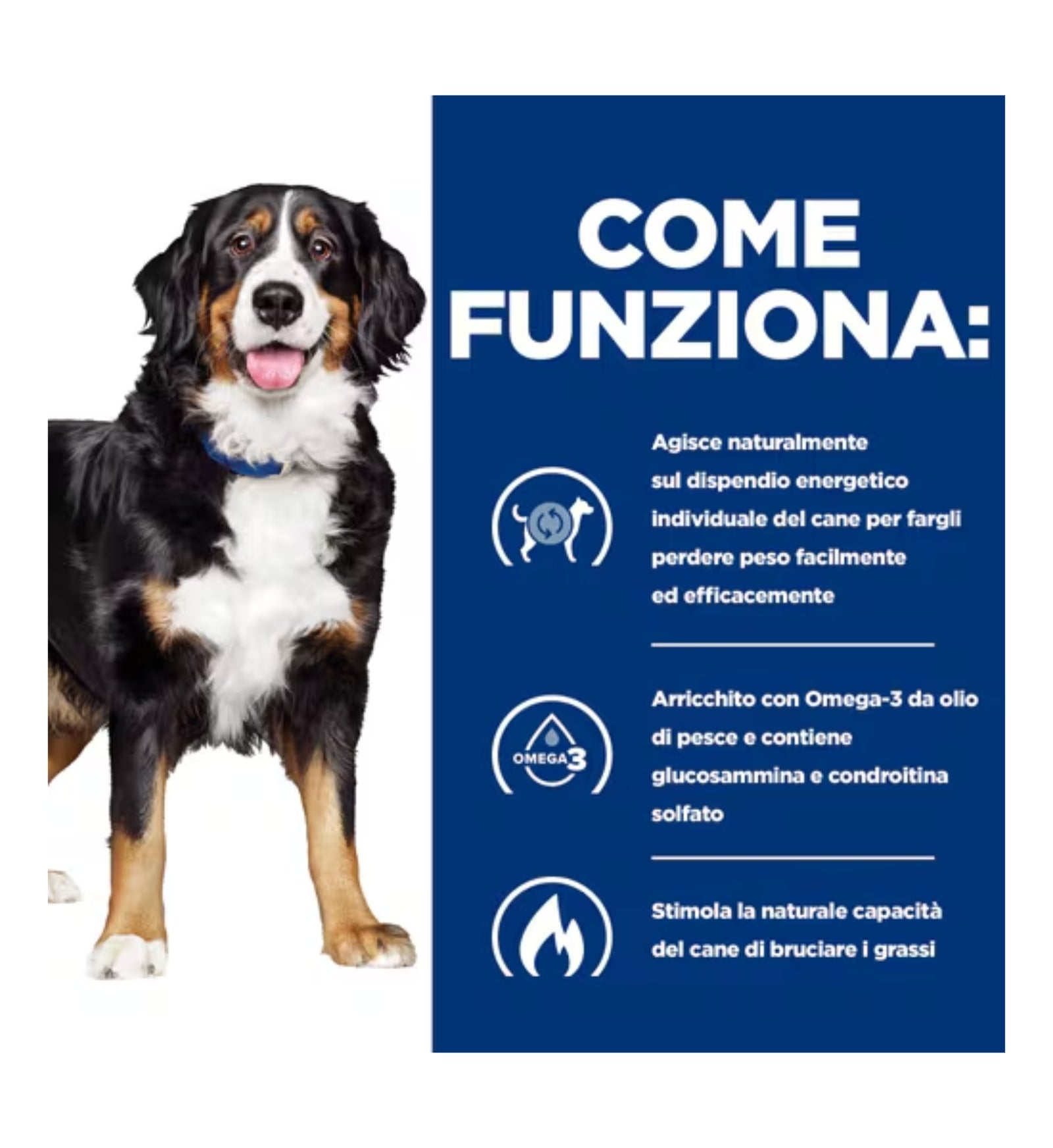 HILLS10039N_01_5__Server-Mago_Mago4_Custom_Companies_ZOOEXPERT_SRL_Applications_ERP_Items_Files_Images_AllUsers_605884_17.jpg HILLS10039N_01 picture