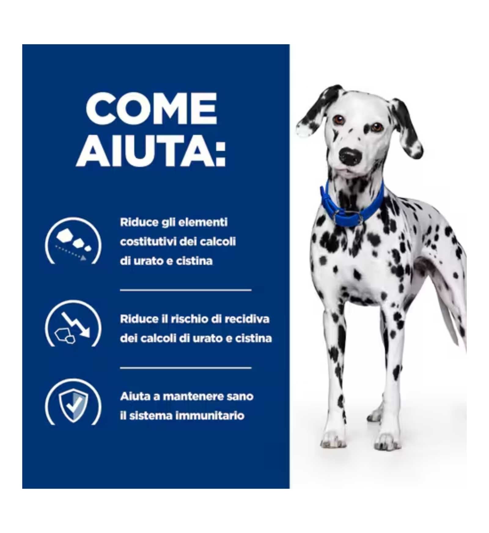 HILLS1605_16_Image.erp.items.images.607712_16.jpg HILLS1605 picture