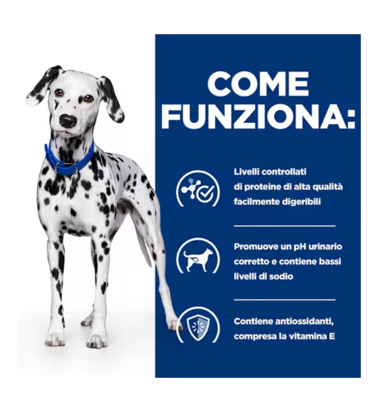 HILLS1605_17_Image.erp.items.images.607712_17.jpg HILLS1605 picture