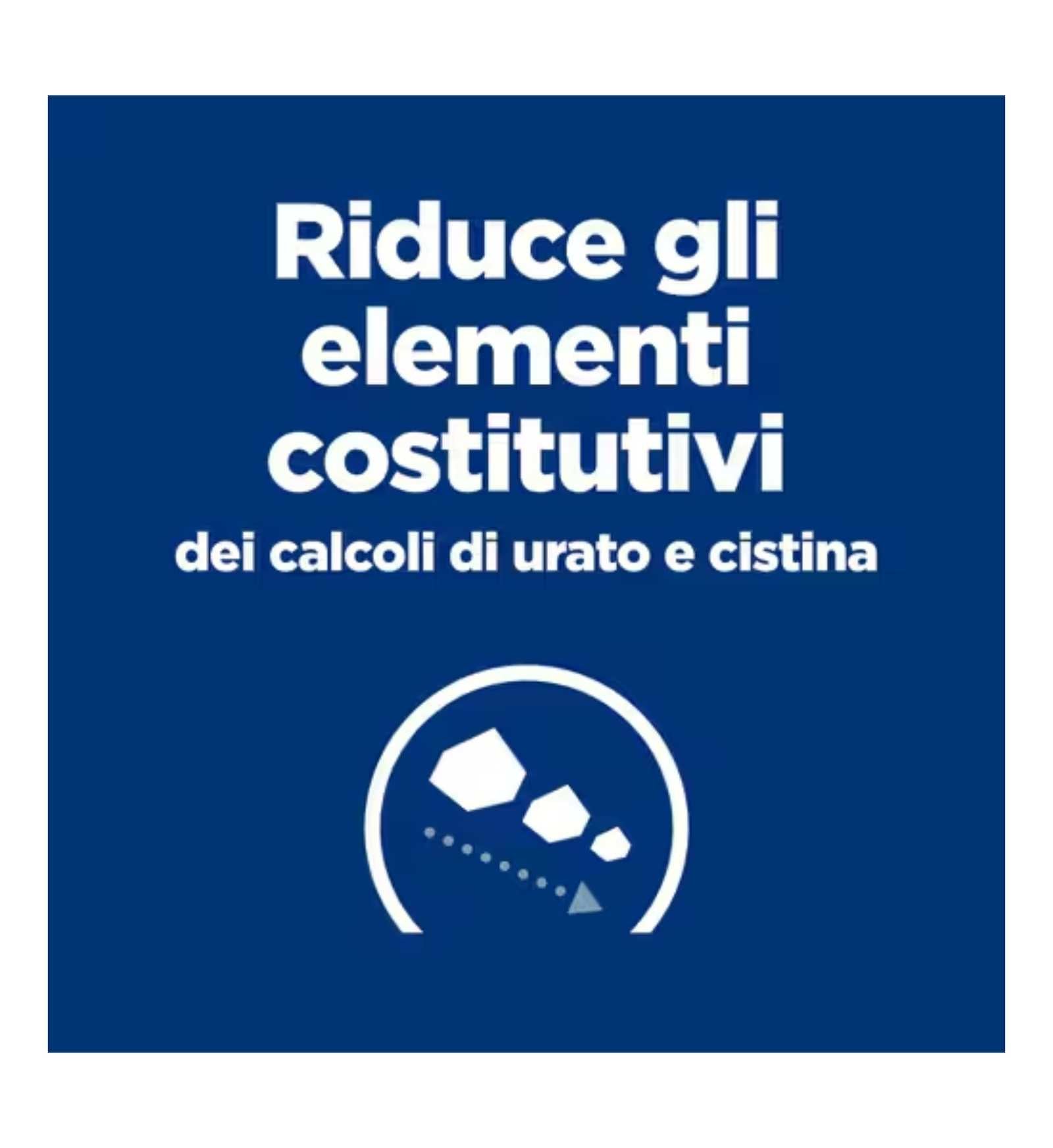 HILLS1605_18_Image.erp.items.images.607712_18.jpg HILLS1605 picture