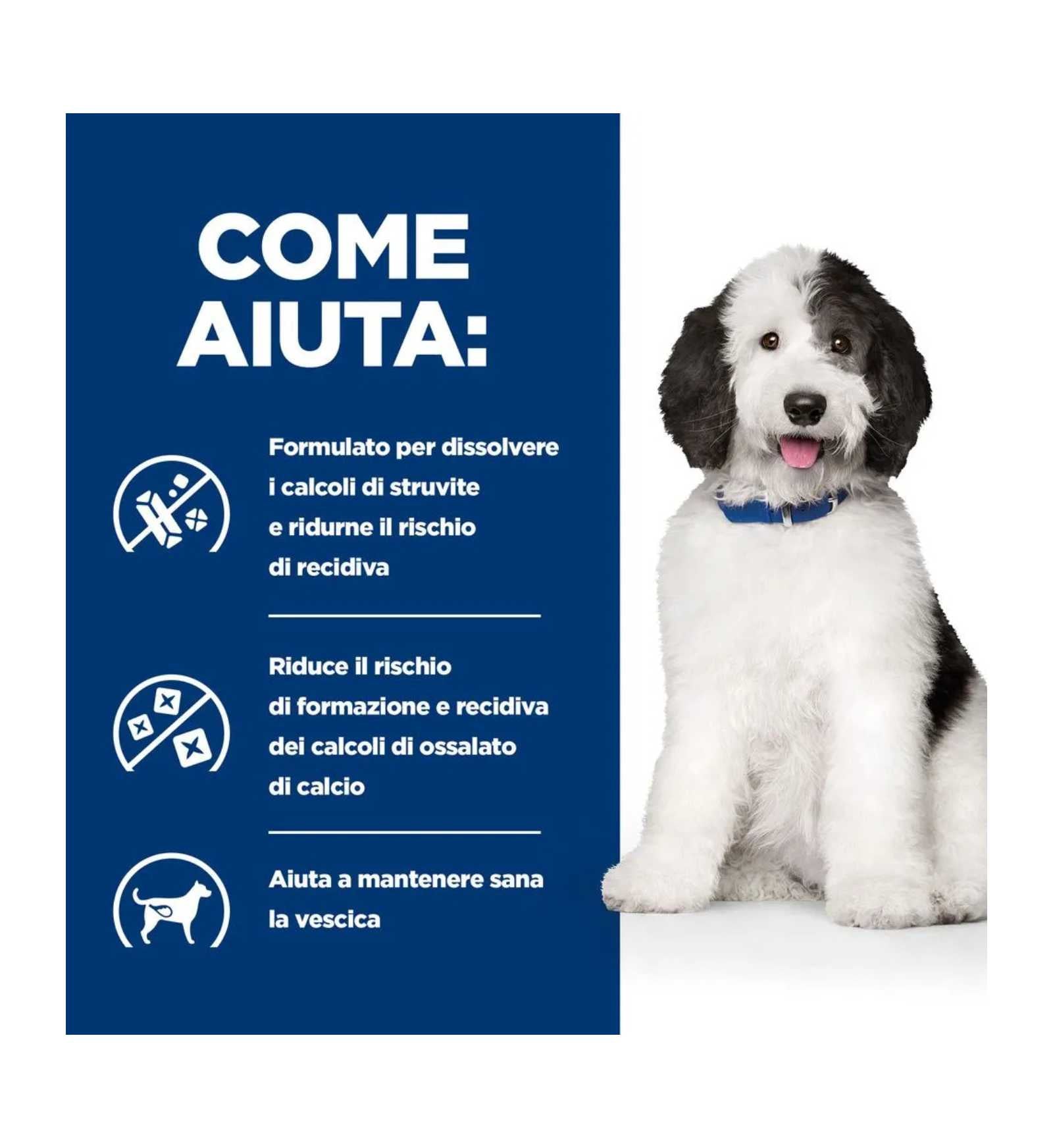 HILLS20031299_15__Server-Mago_Mago4_Custom_Companies_ZOOEXPERT_SRL_Applications_ERP_Items_Files_Images_AllUsers_607449_15.jpg HILLS20031299 picture