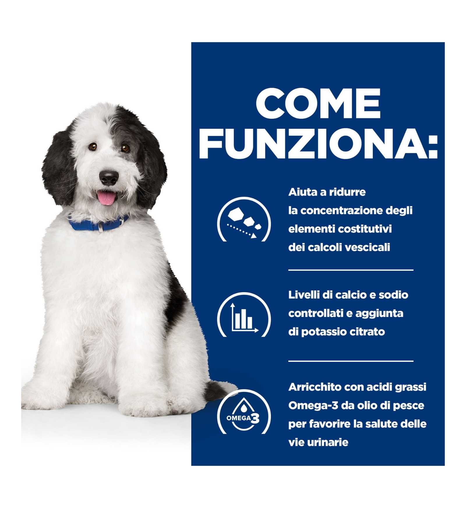 HILLS20031299_16_Image.erp.items.images.607449_16.jpg HILLS20031299 picture