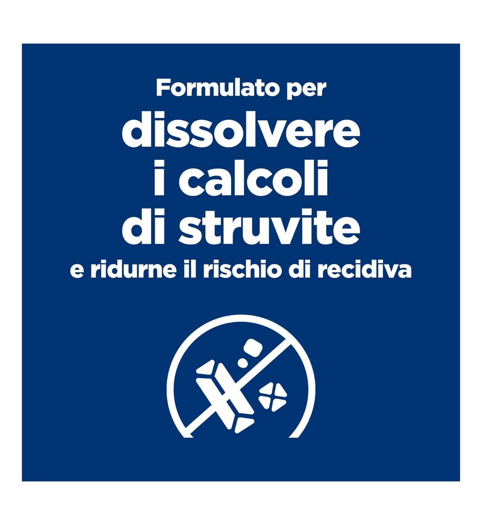 HILLS20031299_17_Image.erp.items.images.607449_17.jpg HILLS20031299 picture