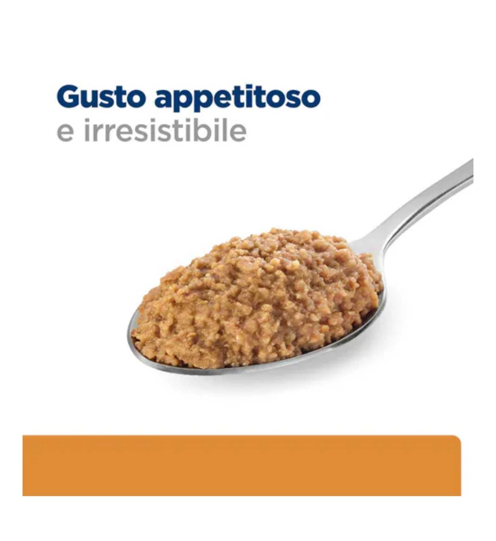 HILLS20031336_11_Image.erp.items.images.607217_11.jpg HILLS20031336 picture