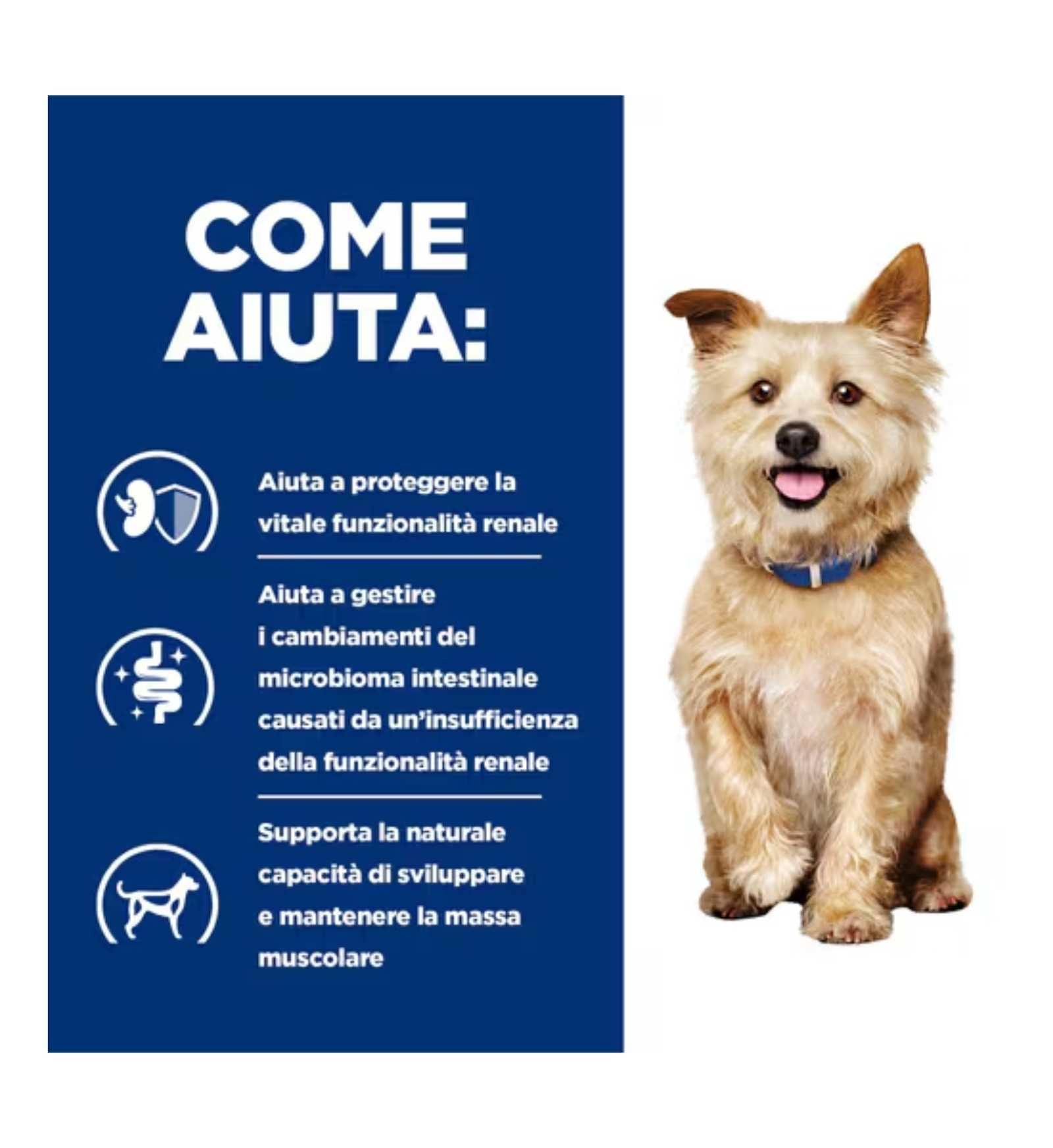 HILLS20031336_16_Image.erp.items.images.607217_16.jpg HILLS20031336 picture