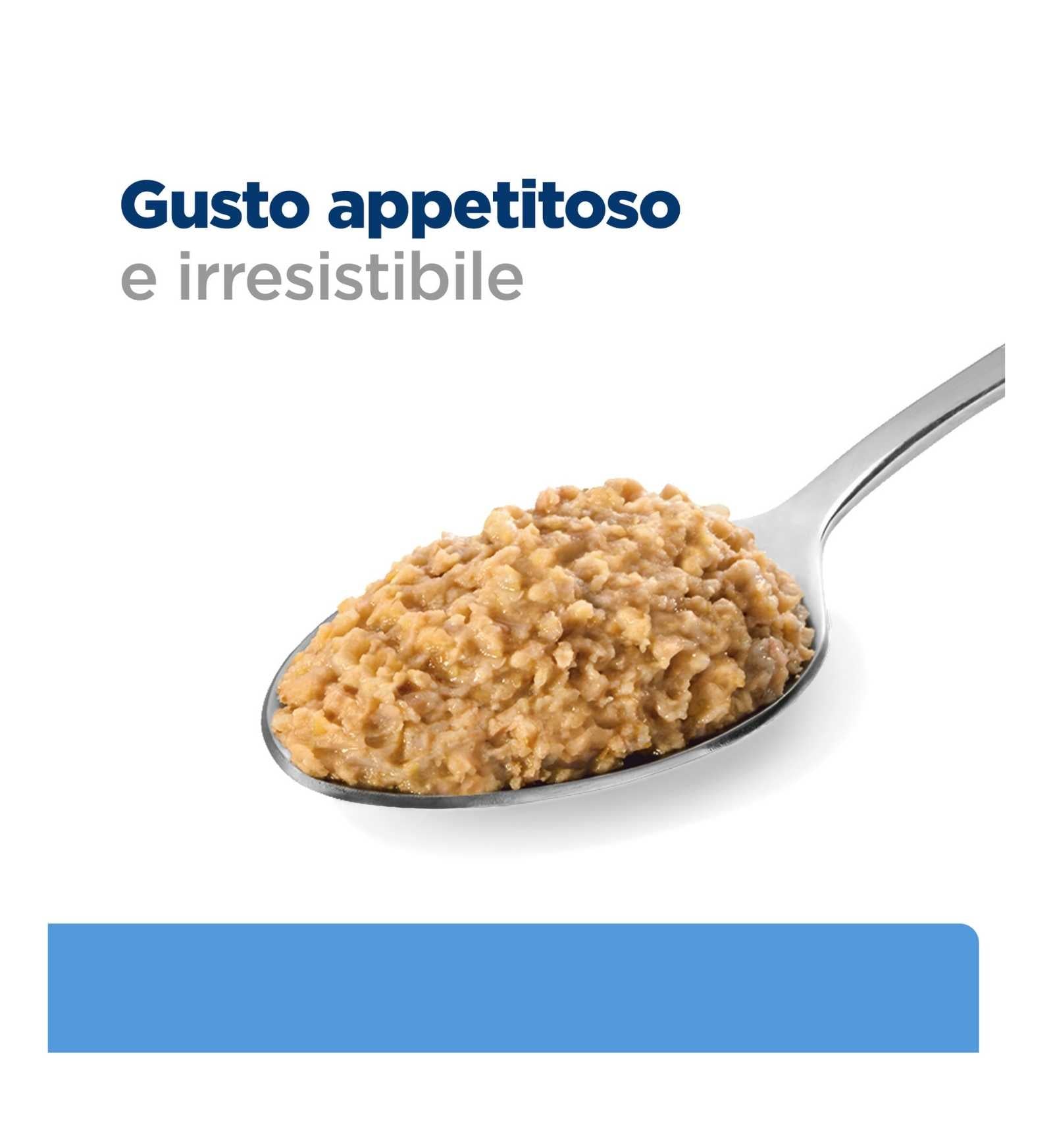 HILLS20032142_12_Image.erp.items.images.607710_12.jpg HILLS20032142 picture