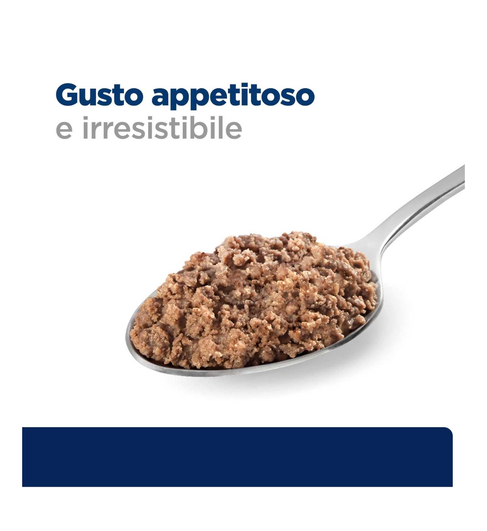 HILLS20032289_4_Image.erp.items.images.606372_12.jpg HILLS20032289 picture