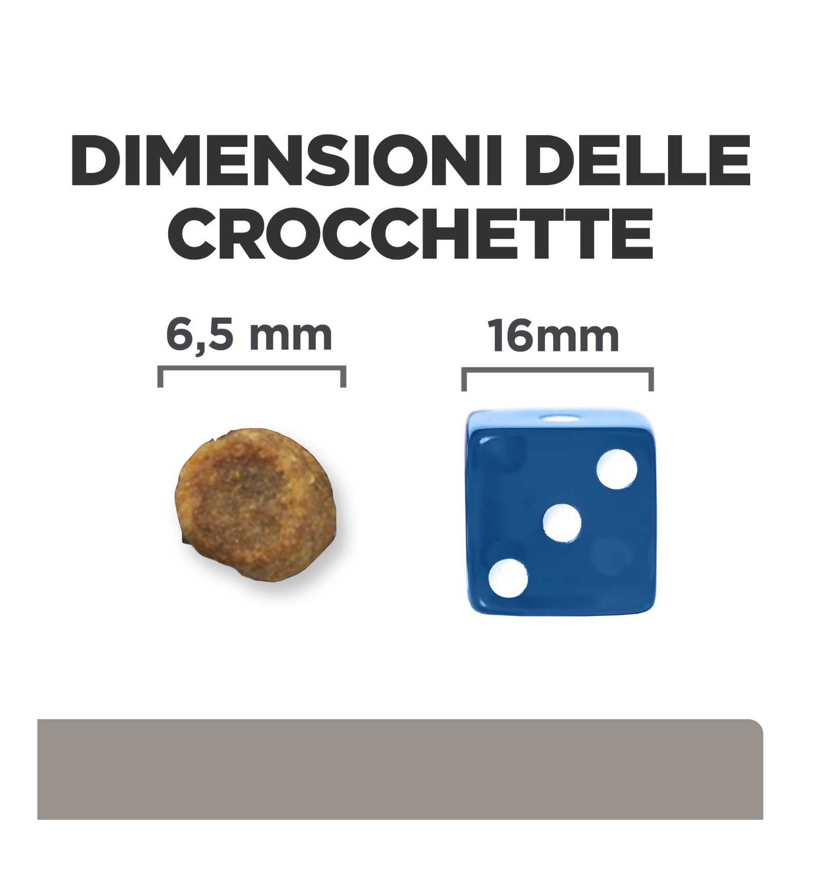 HILLS20056240_12_Image.erp.items.images.605968_12.jpg HILLS20056240 picture