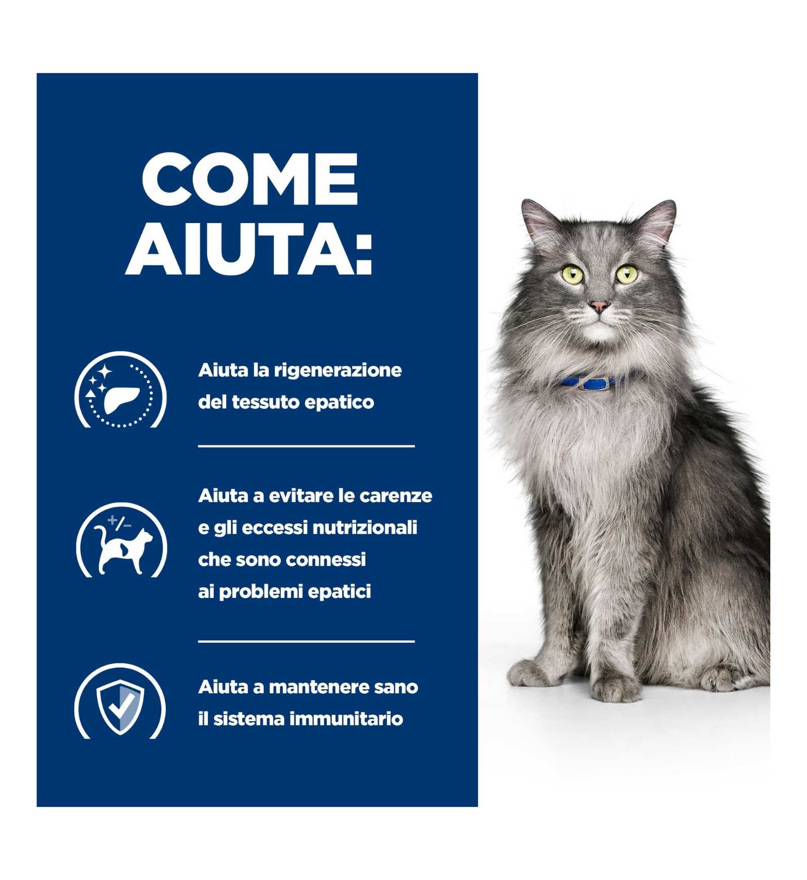 HILLS20056240_16_Image.erp.items.images.605968_16.jpg HILLS20056240 picture