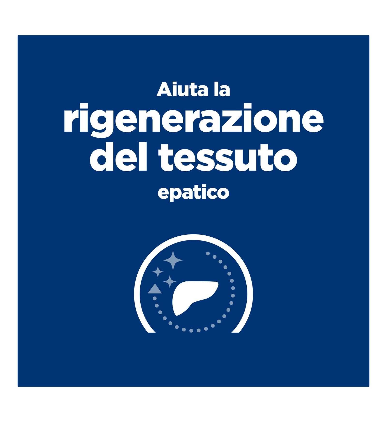 HILLS20056240_18_Image.erp.items.images.605968_18.jpg HILLS20056240 picture