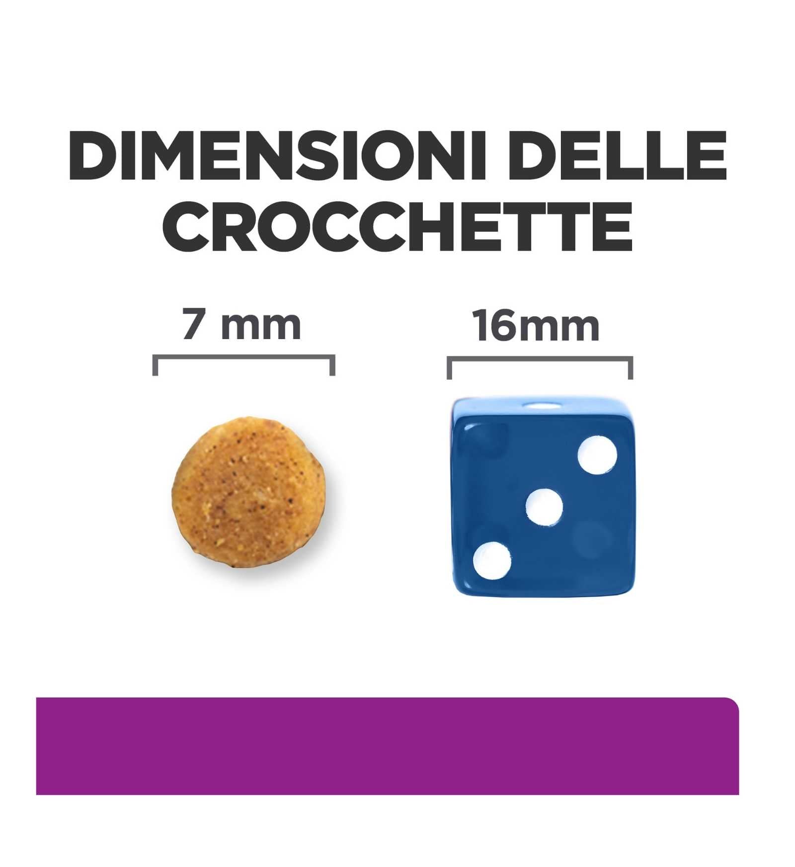 HILLS20065157_12_Image.erp.items.images.605925_12.jpg HILLS20065157 picture