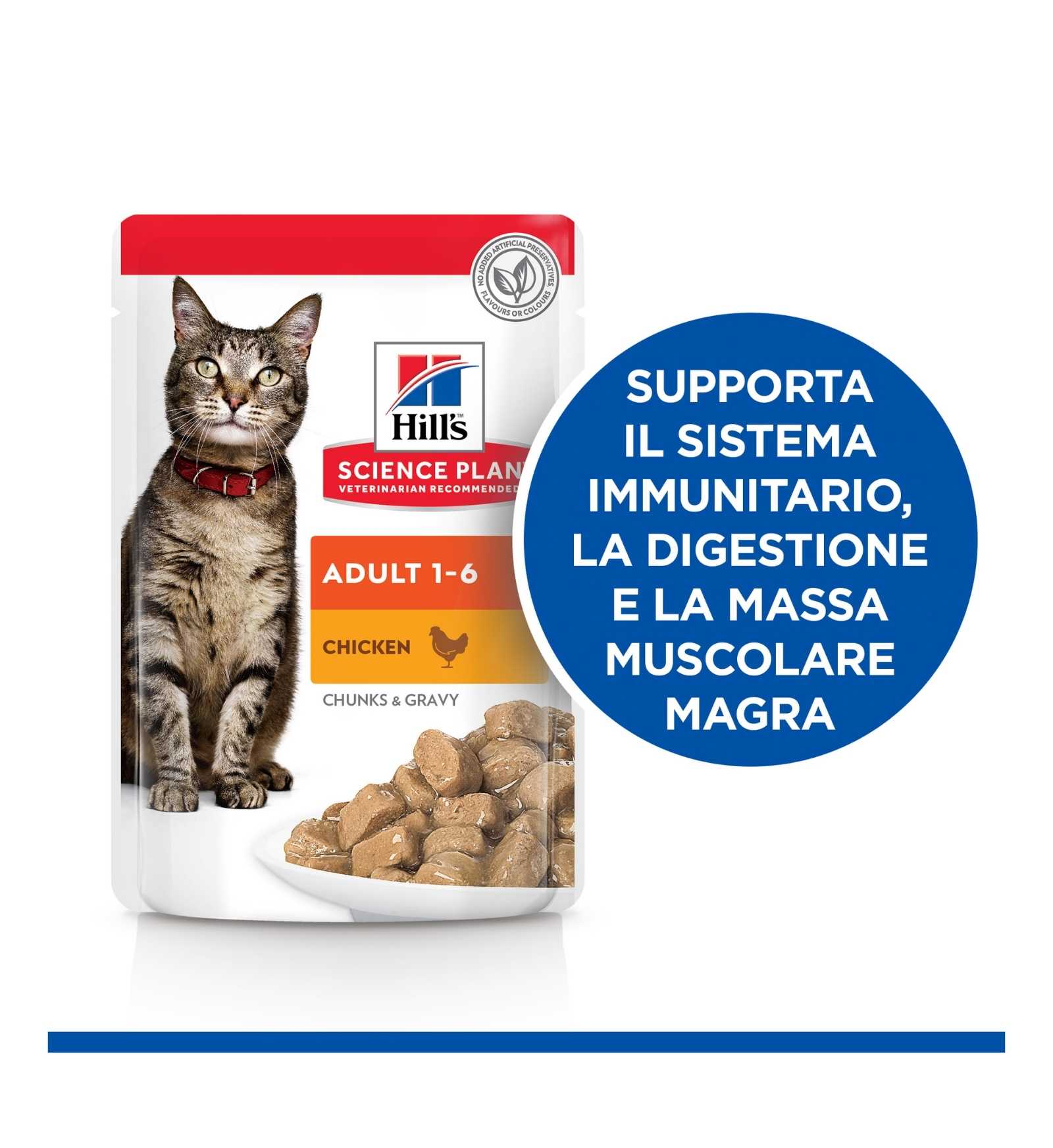 HILLS2104PZ_5__Server-Mago_Mago4_Custom_Companies_ZOOEXPERT_SRL_Applications_erp_items_Files_images_AllUsers_607084_17.jpg HILLS2104PZ picture