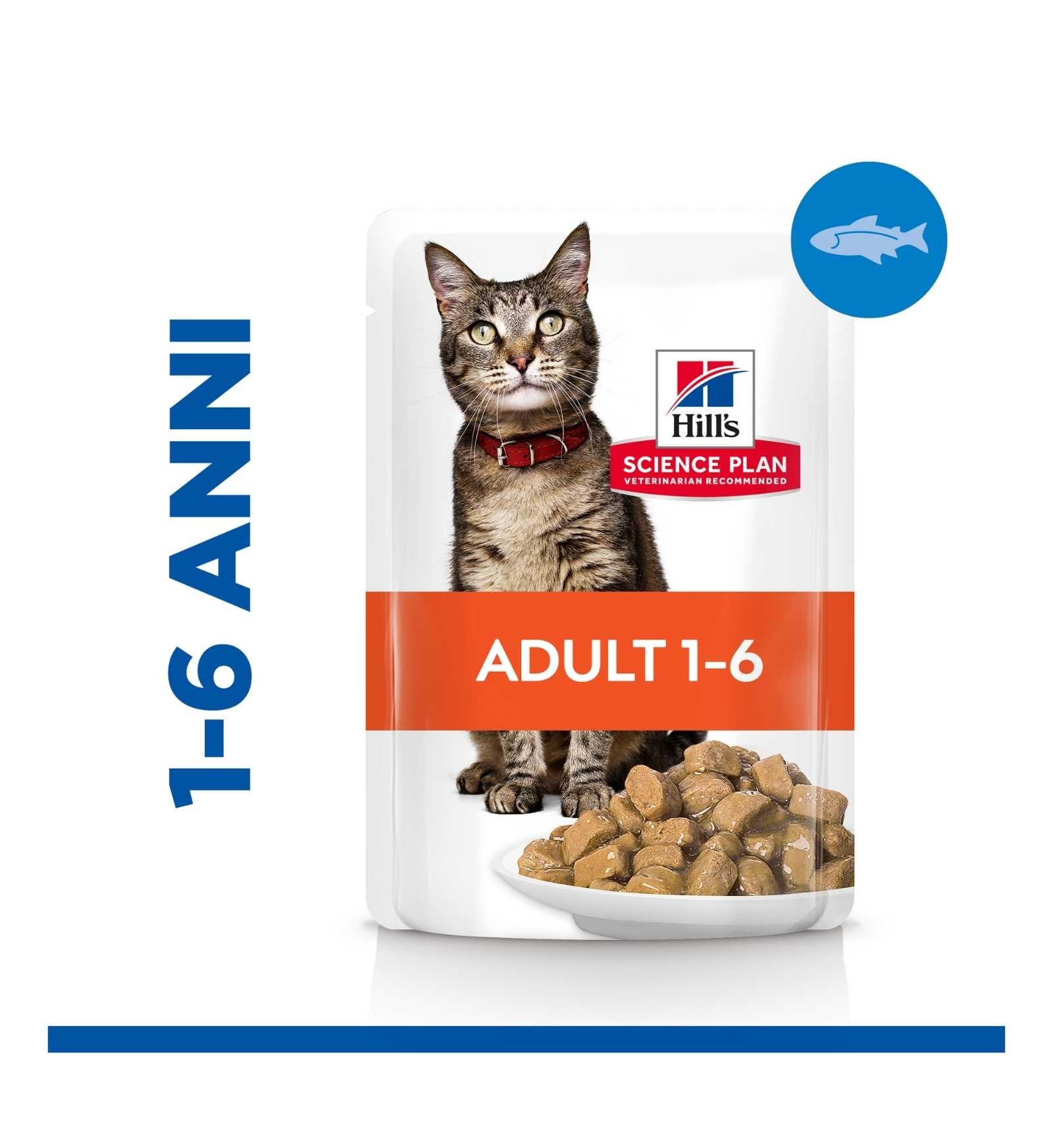 HILLS2105PZ_3__Server-Mago_Mago4_Custom_Companies_ZOOEXPERT_SRL_Applications_erp_items_Files_images_AllUsers_607085_04.jpg HILLS2105PZ picture