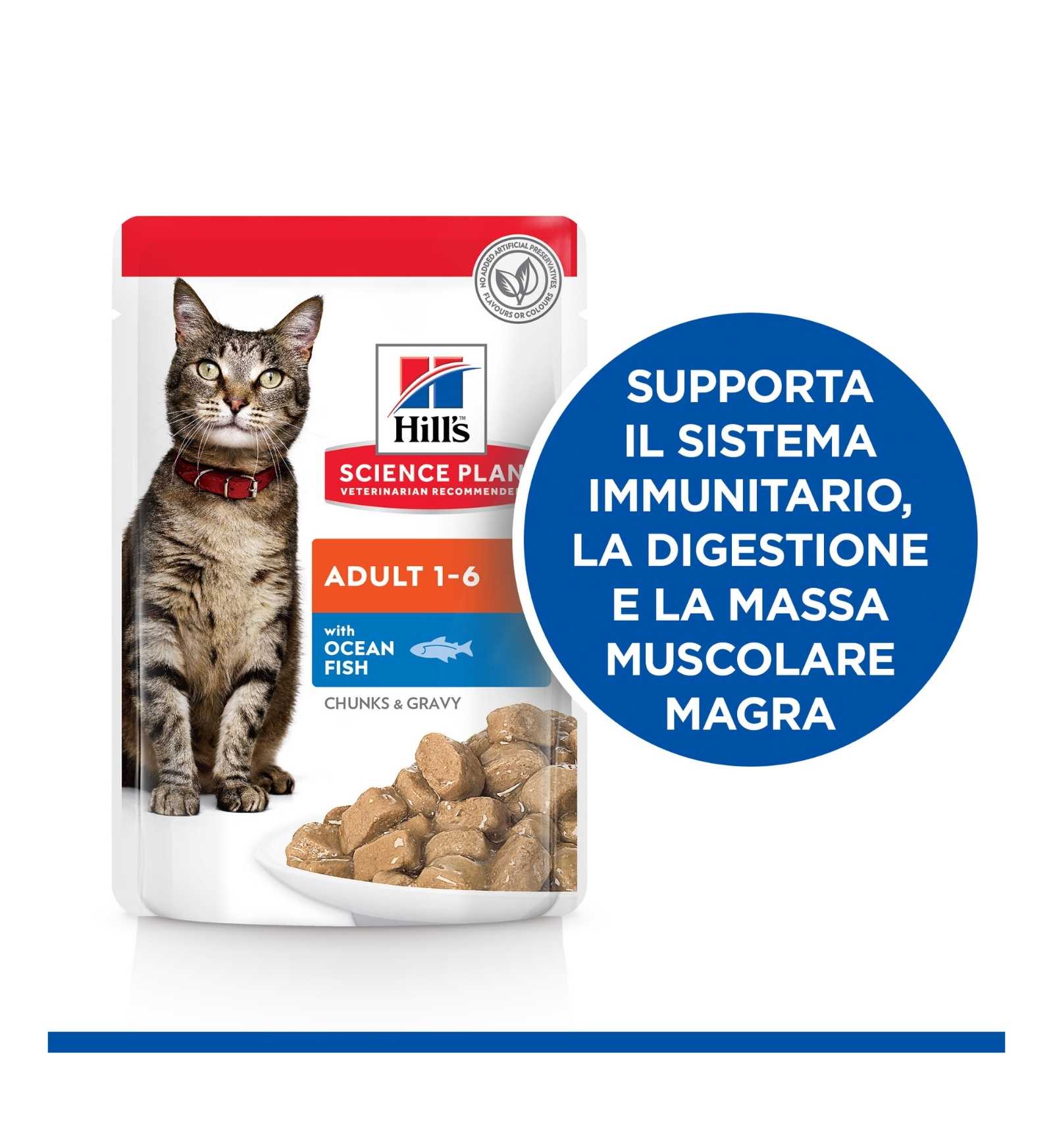 HILLS2105PZ_5__Server-Mago_Mago4_Custom_Companies_ZOOEXPERT_SRL_Applications_erp_items_Files_images_AllUsers_607085_17.jpg HILLS2105PZ picture