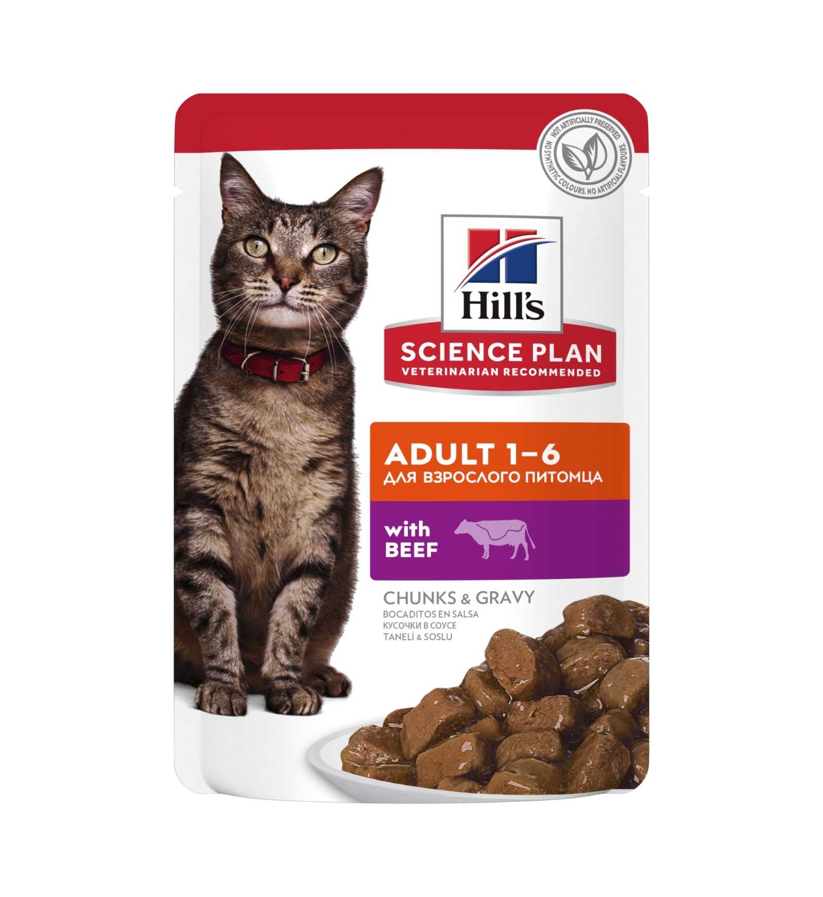 HILLS2106PZ_1__Server-Mago_Mago4_Custom_Companies_ZOOEXPERT_SRL_Applications_erp_items_Files_images_AllUsers_603999_01.jpg HILLS2106PZ picture