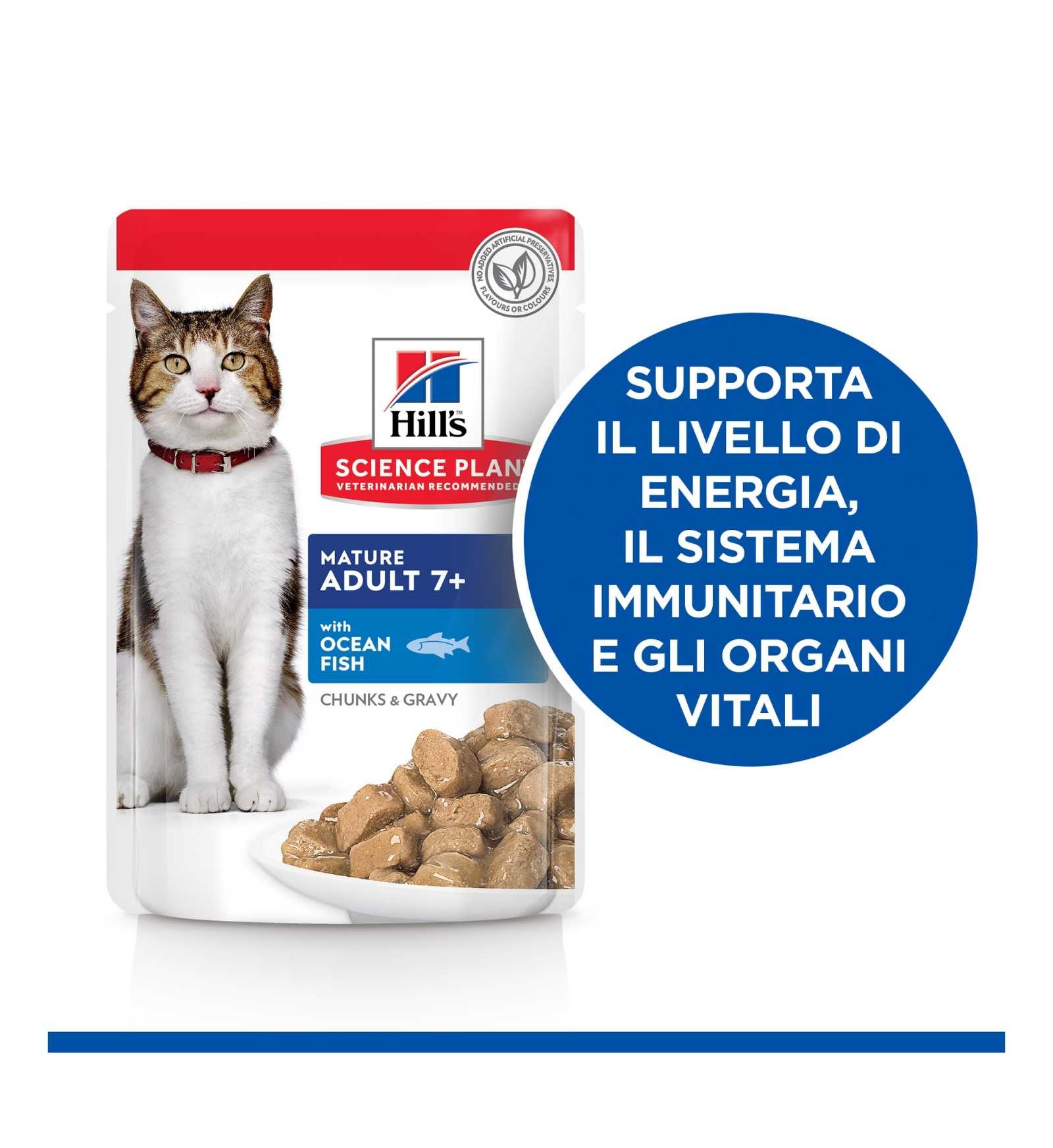 HILLS2110PA_5__Server-Mago_Mago4_Custom_Companies_ZOOEXPERT_SRL_Applications_erp_items_Files_images_AllUsers_603998_17.jpg HILLS2110PA picture