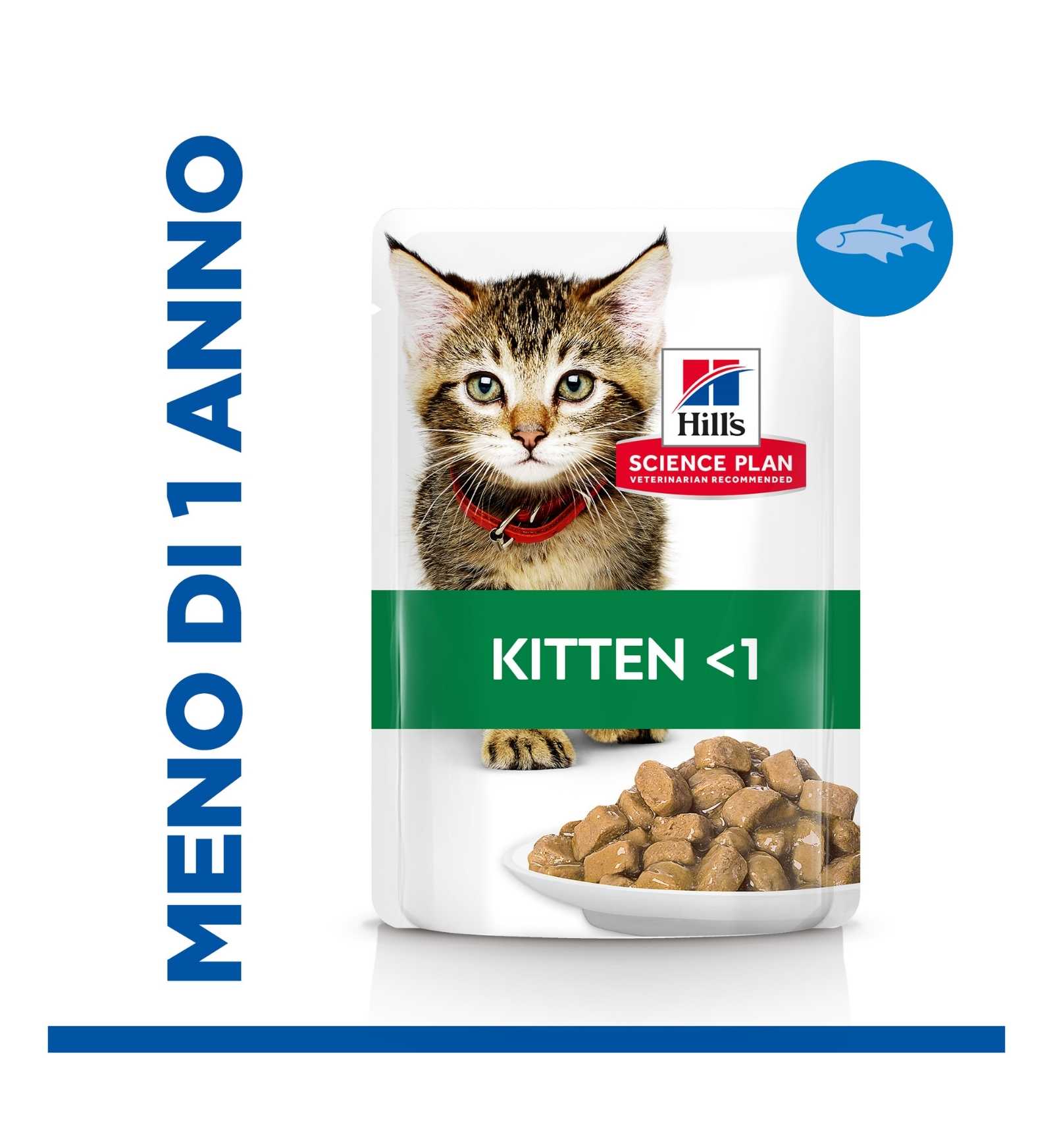 HILLS2113PZ_3__Server-Mago_Mago4_Custom_Companies_ZOOEXPERT_SRL_Applications_erp_items_Files_images_AllUsers_607087_04.jpg HILLS2113PZ picture