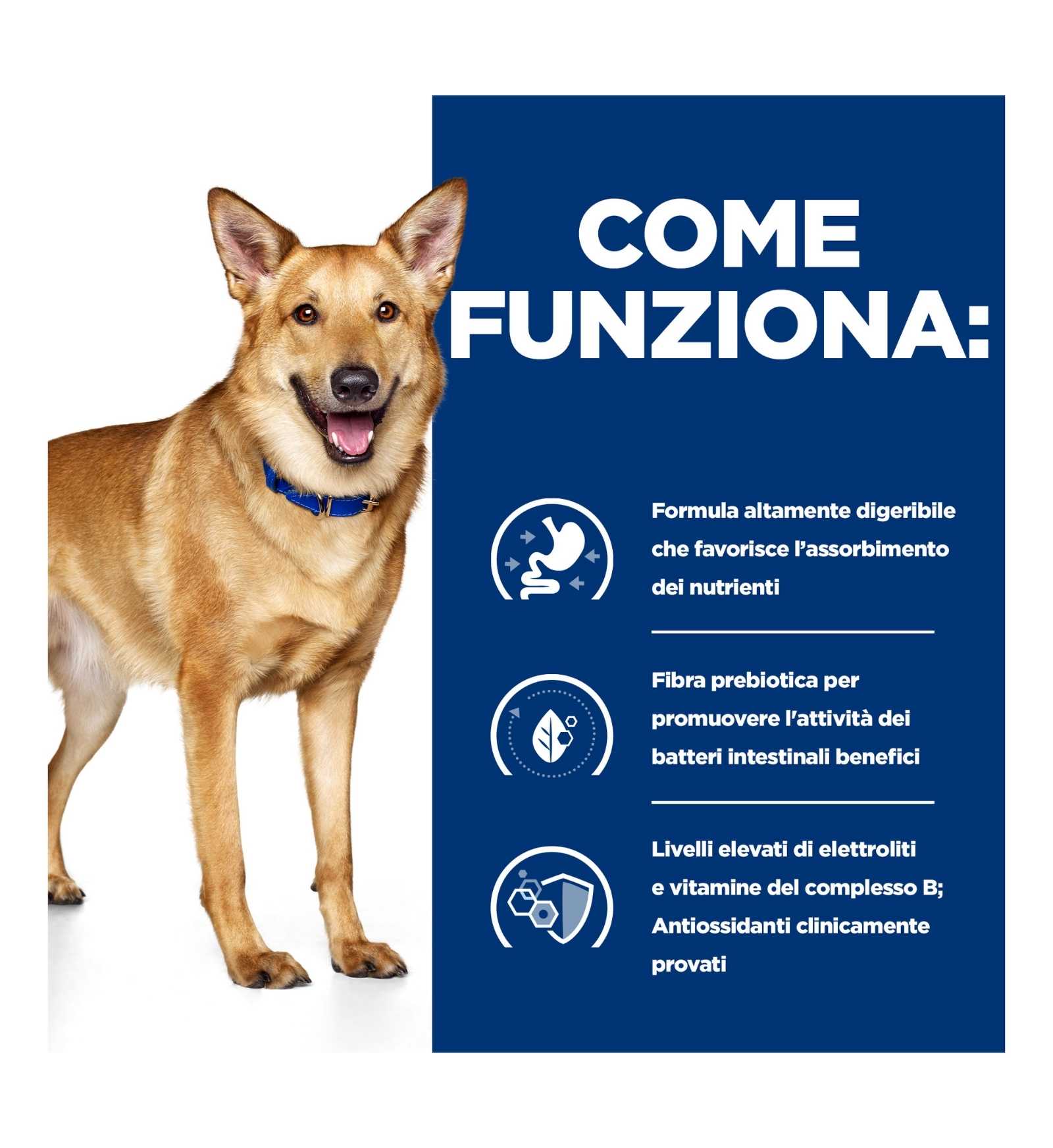 HILLS603867_6__Server-Mago_Mago4_Custom_Companies_ZOOEXPERT_SRL_Applications_erp_items_Files_images_AllUsers_606448_17.jpg HILLS603867 picture