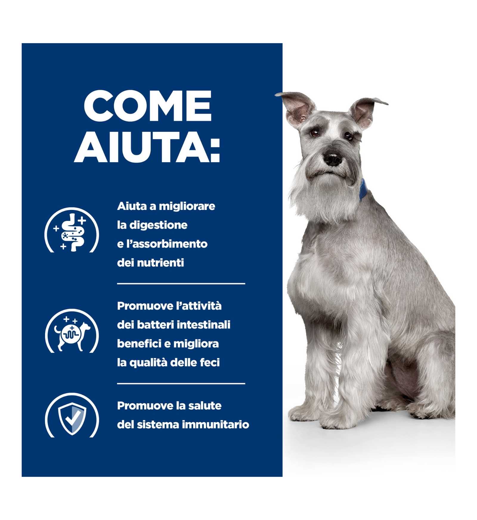 HILLS603868_5__Server-Mago_Mago4_Custom_Companies_ZOOEXPERT_SRL_Applications_erp_items_Files_images_AllUsers_606446_16.jpg HILLS603868 picture