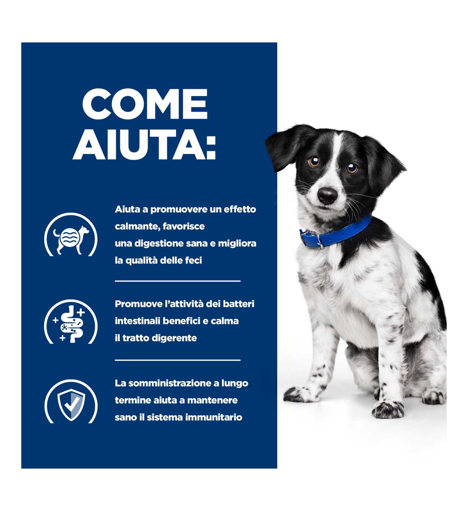 HILLS603872_5__Server-Mago_Mago4_Custom_Companies_ZOOEXPERT_SRL_Applications_ERP_Items_Files_Images_AllUsers_606414_16.jpg HILLS603872 picture