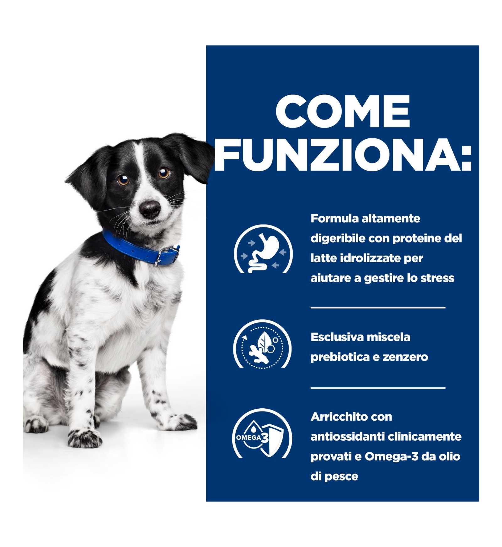 HILLS603872_6__Server-Mago_Mago4_Custom_Companies_ZOOEXPERT_SRL_Applications_ERP_Items_Files_Images_AllUsers_606414_17.jpg HILLS603872 picture