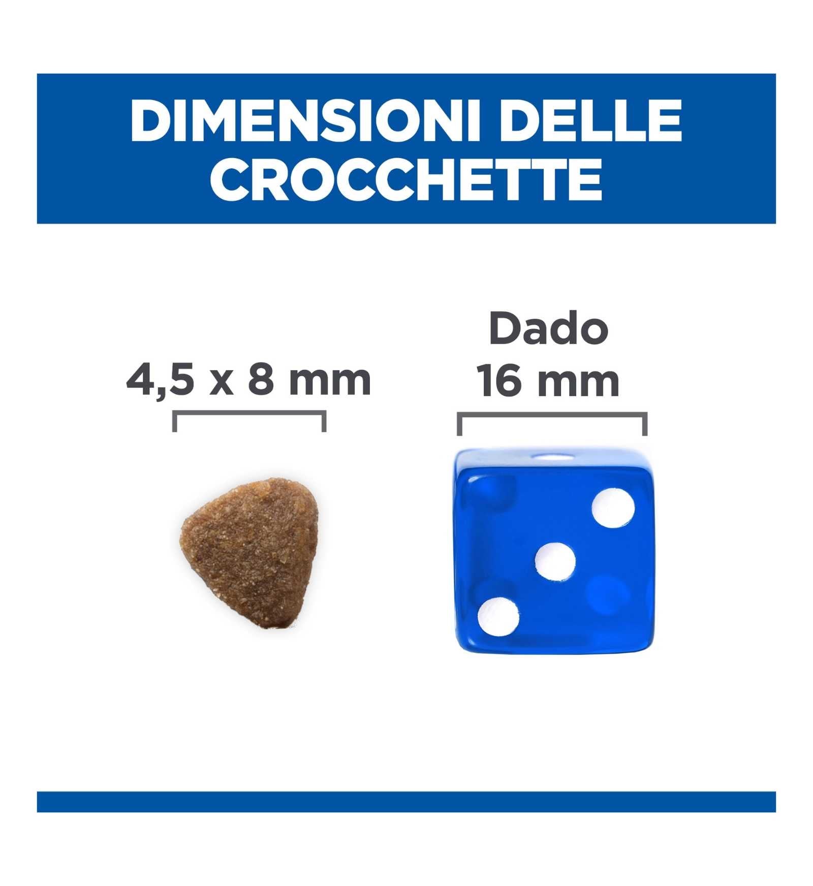 HILLS604045_11_Image.erp.items.images.604048_11.jpg HILLS604045 picture