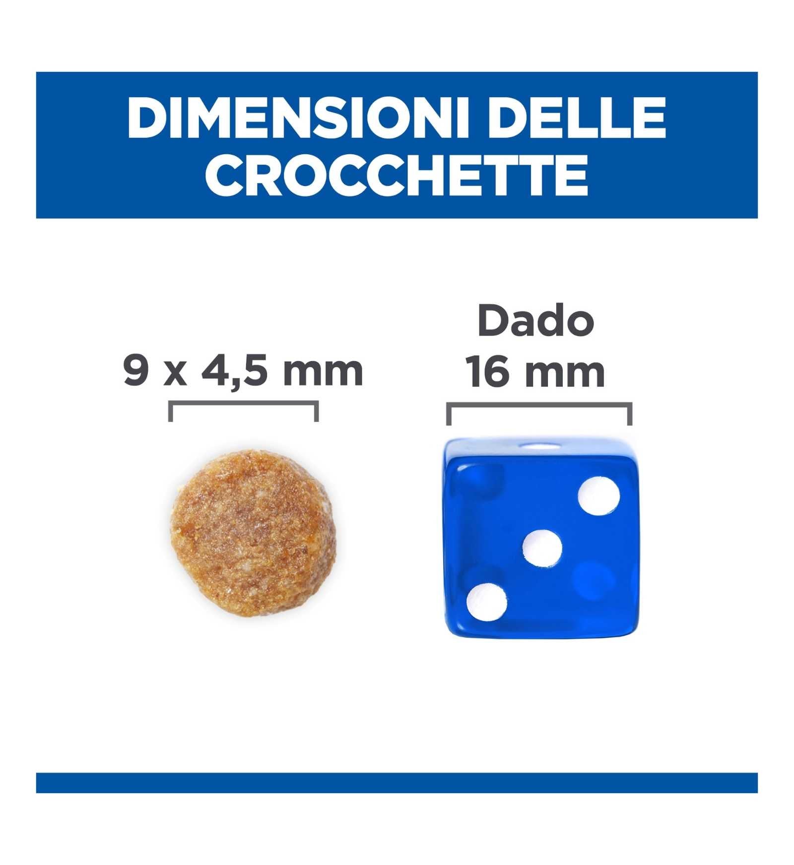 HILLS604073_11_Image.erp.items.images.604073_11.jpg HILLS604073 picture