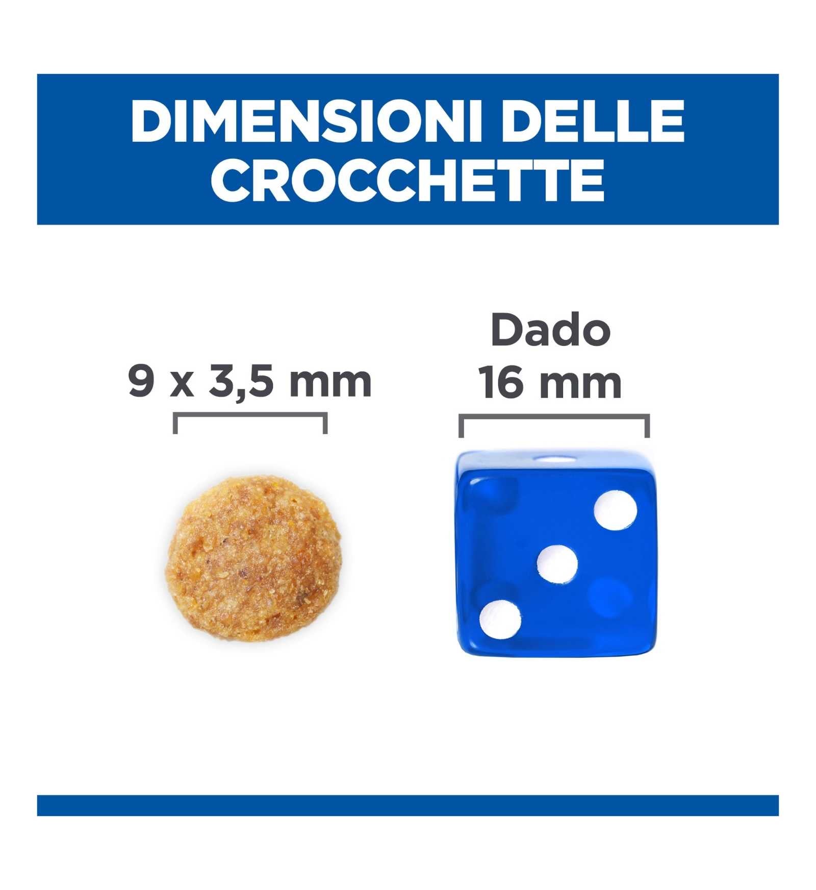 HILLS604097_11_Image.erp.items.images.604097_11.jpg HILLS604097 picture