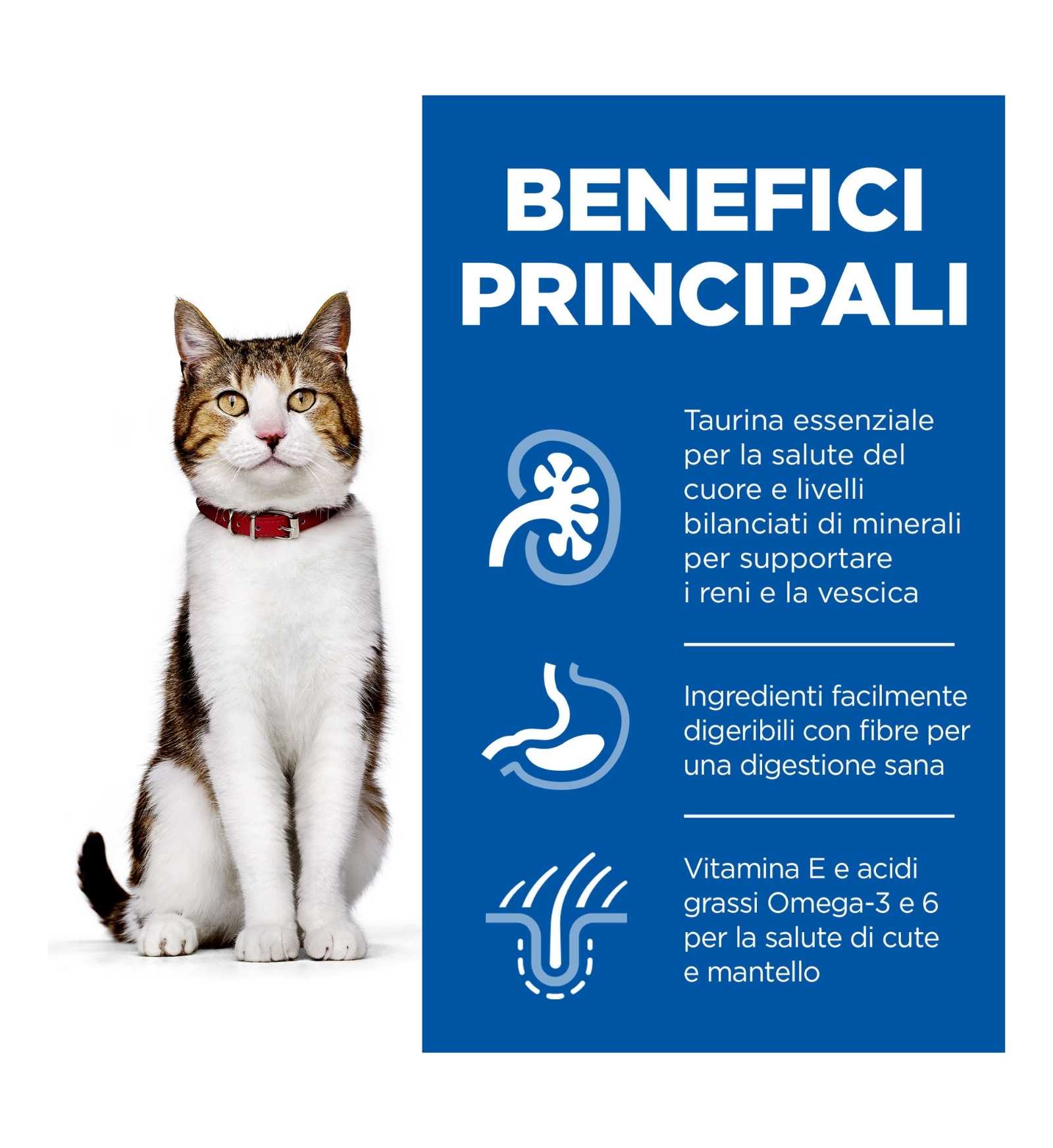 HILLS604097_16_Image.erp.items.images.604097_16.jpg HILLS604097 picture