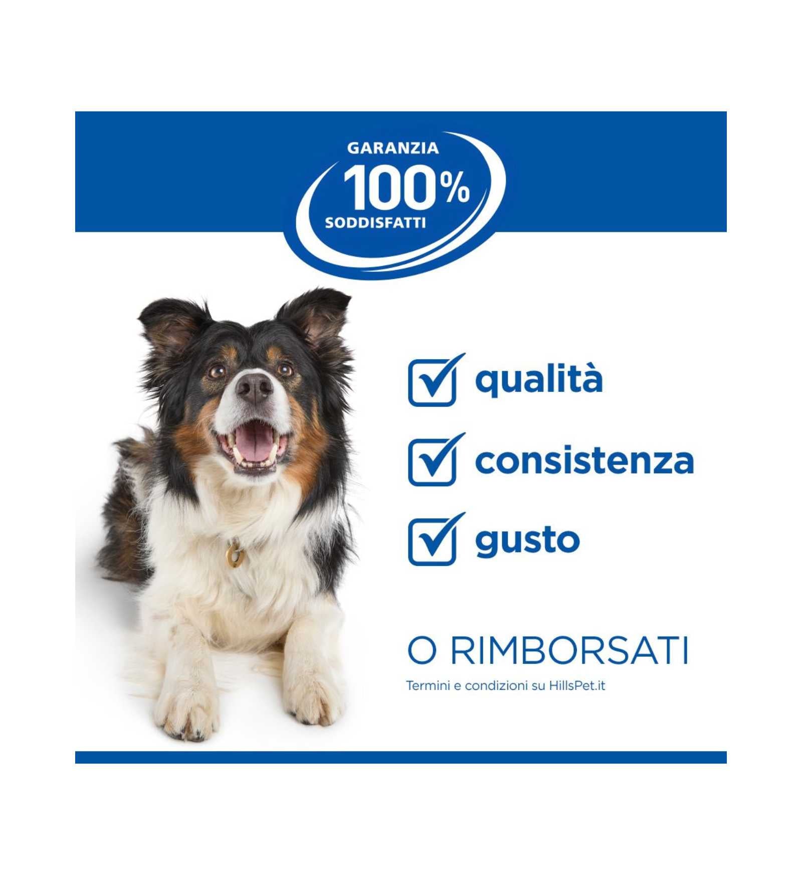 HILLS604130_5__Server-Mago_Mago4_Custom_Companies_ZOOEXPERT_SRL_Applications_ERP_Items_Files_Images_AllUsers_608877_13.jpg HILLS604130 picture