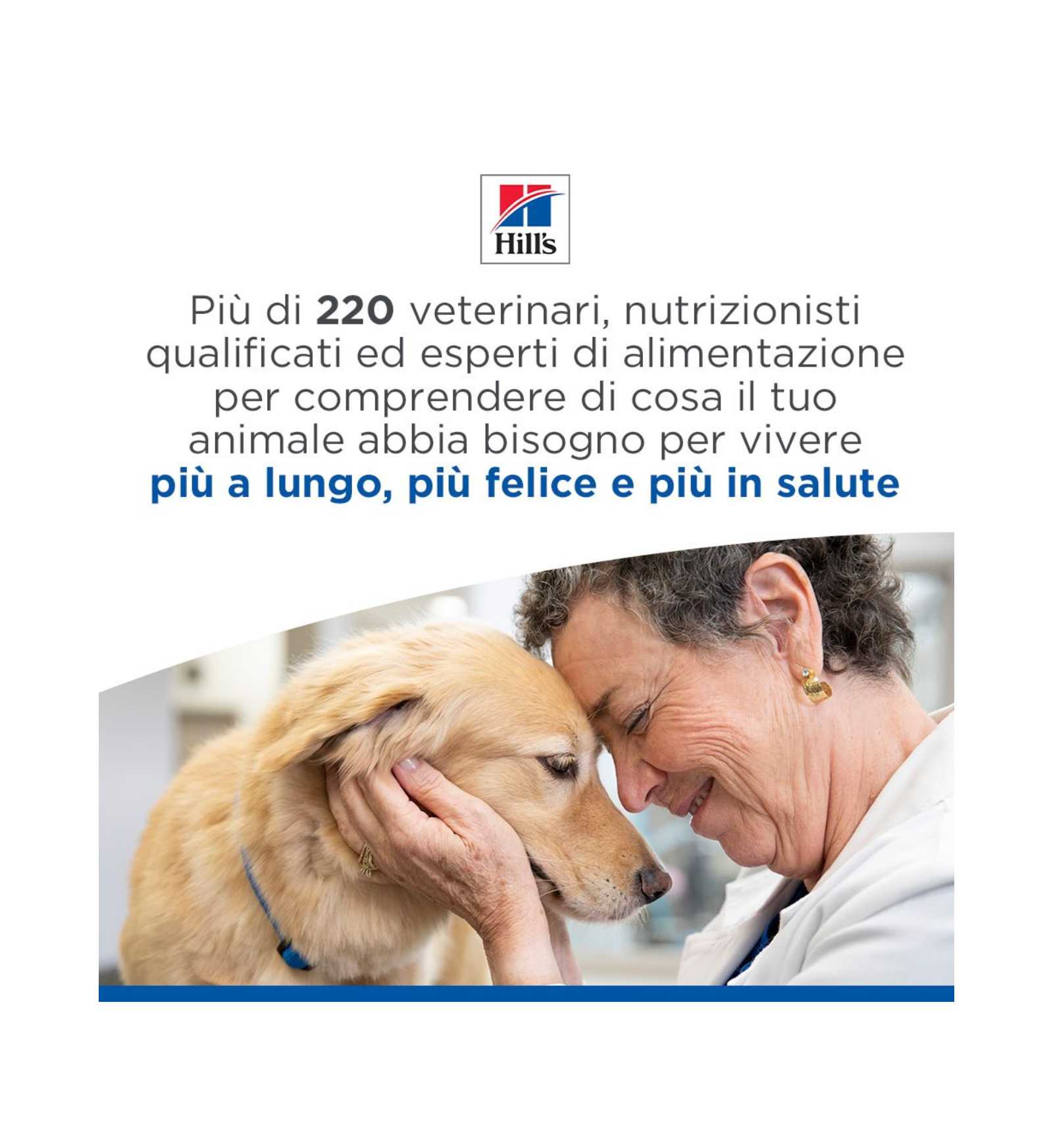 HILLS604130_6__Server-Mago_Mago4_Custom_Companies_ZOOEXPERT_SRL_Applications_ERP_Items_Files_Images_AllUsers_608877_14.jpg HILLS604130 picture