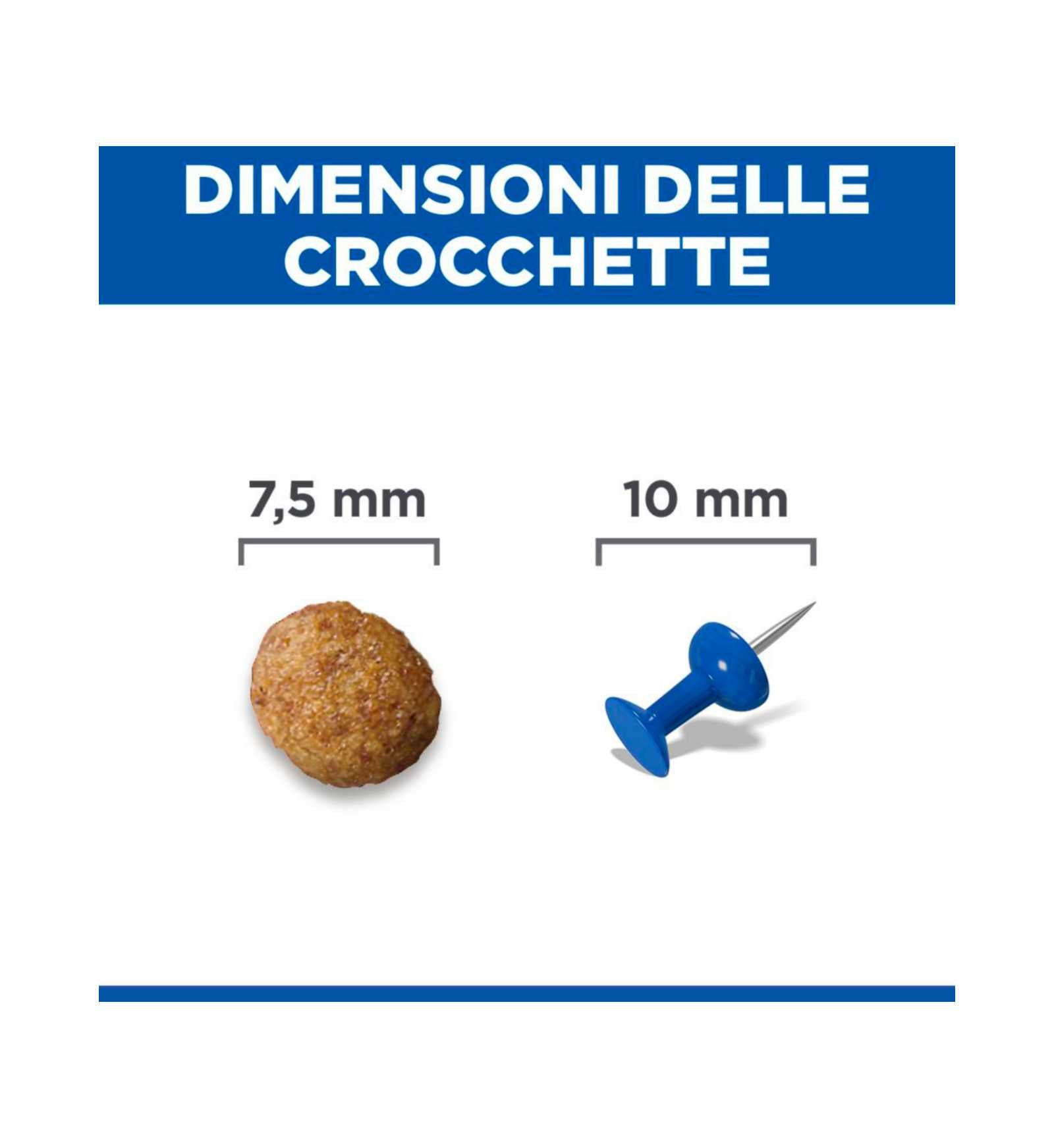 HILLS604233_4__Server-Mago_Mago4_Custom_Companies_ZOOEXPERT_SRL_Applications_ERP_Items_Files_Images_AllUsers_609531_12.jpg HILLS604233 picture