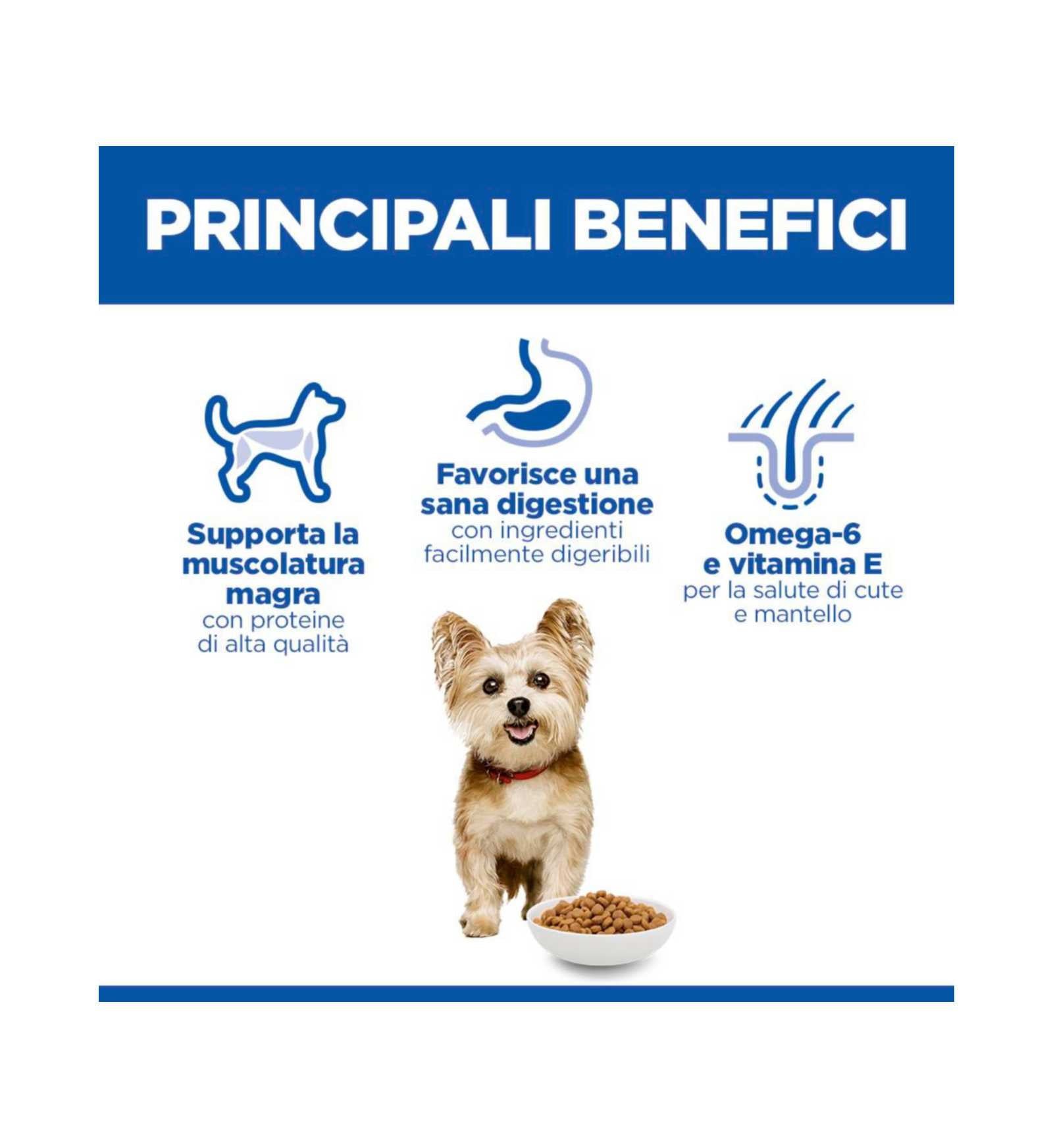 HILLS604233_7__Server-Mago_Mago4_Custom_Companies_ZOOEXPERT_SRL_Applications_ERP_Items_Files_Images_AllUsers_609531_15.jpg HILLS604233 picture