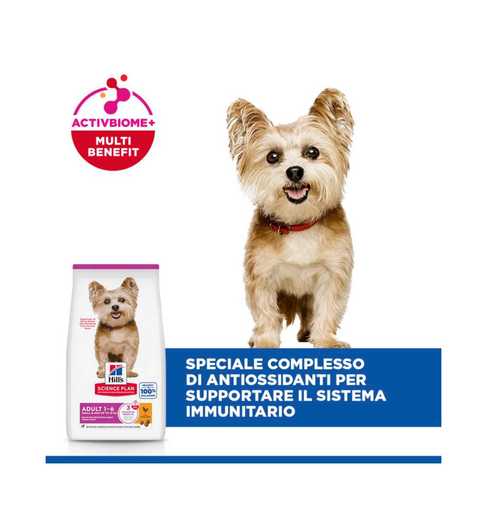 HILLS604233_8__Server-Mago_Mago4_Custom_Companies_ZOOEXPERT_SRL_Applications_ERP_Items_Files_Images_AllUsers_609531_16.jpg HILLS604233 picture