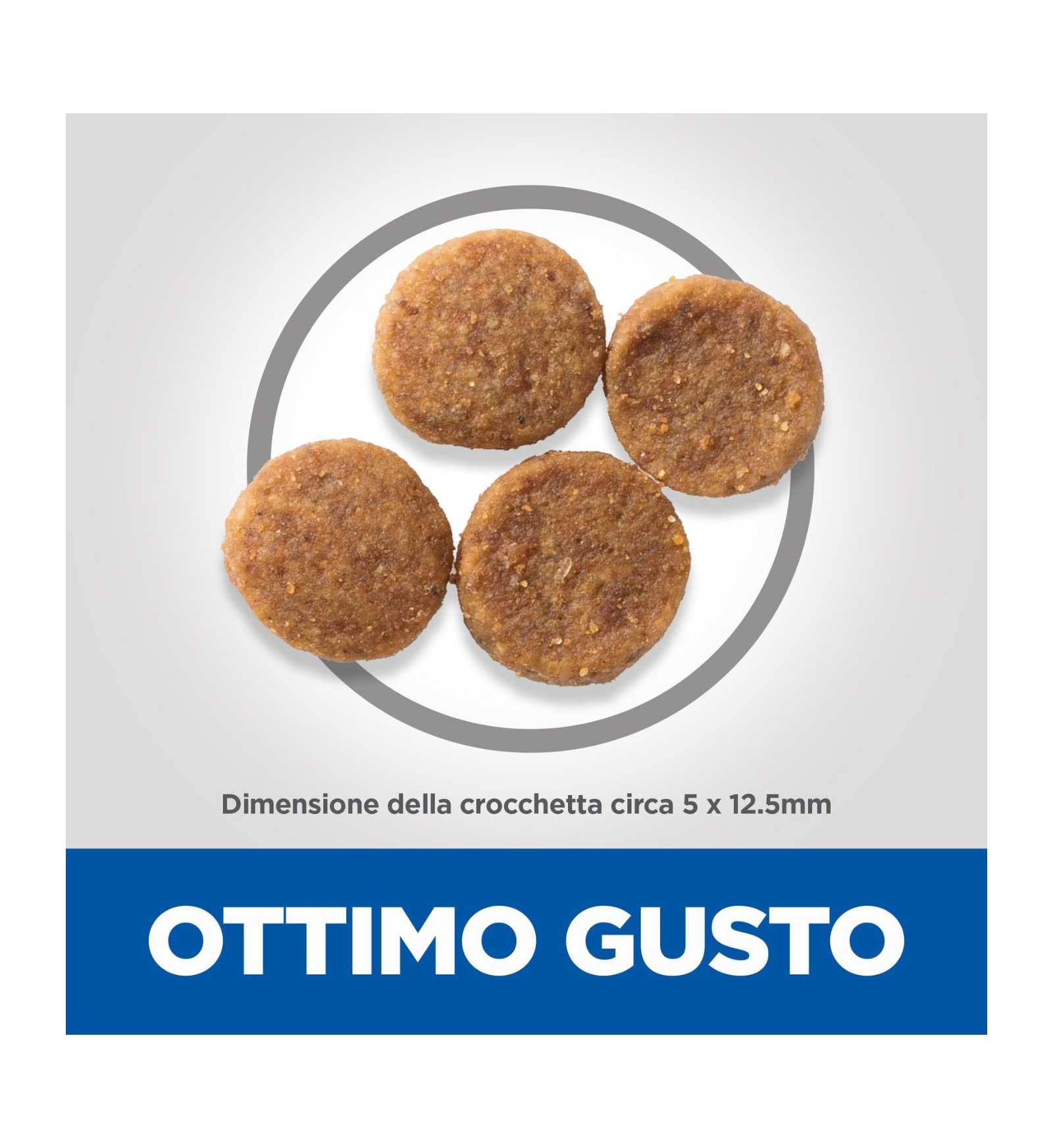 HILLS604297_4__Server-Mago_Mago4_Custom_Companies_ZOOEXPERT_SRL_Applications_ERP_Items_Files_Images_AllUsers_604297_12.jpg HILLS604297 picture