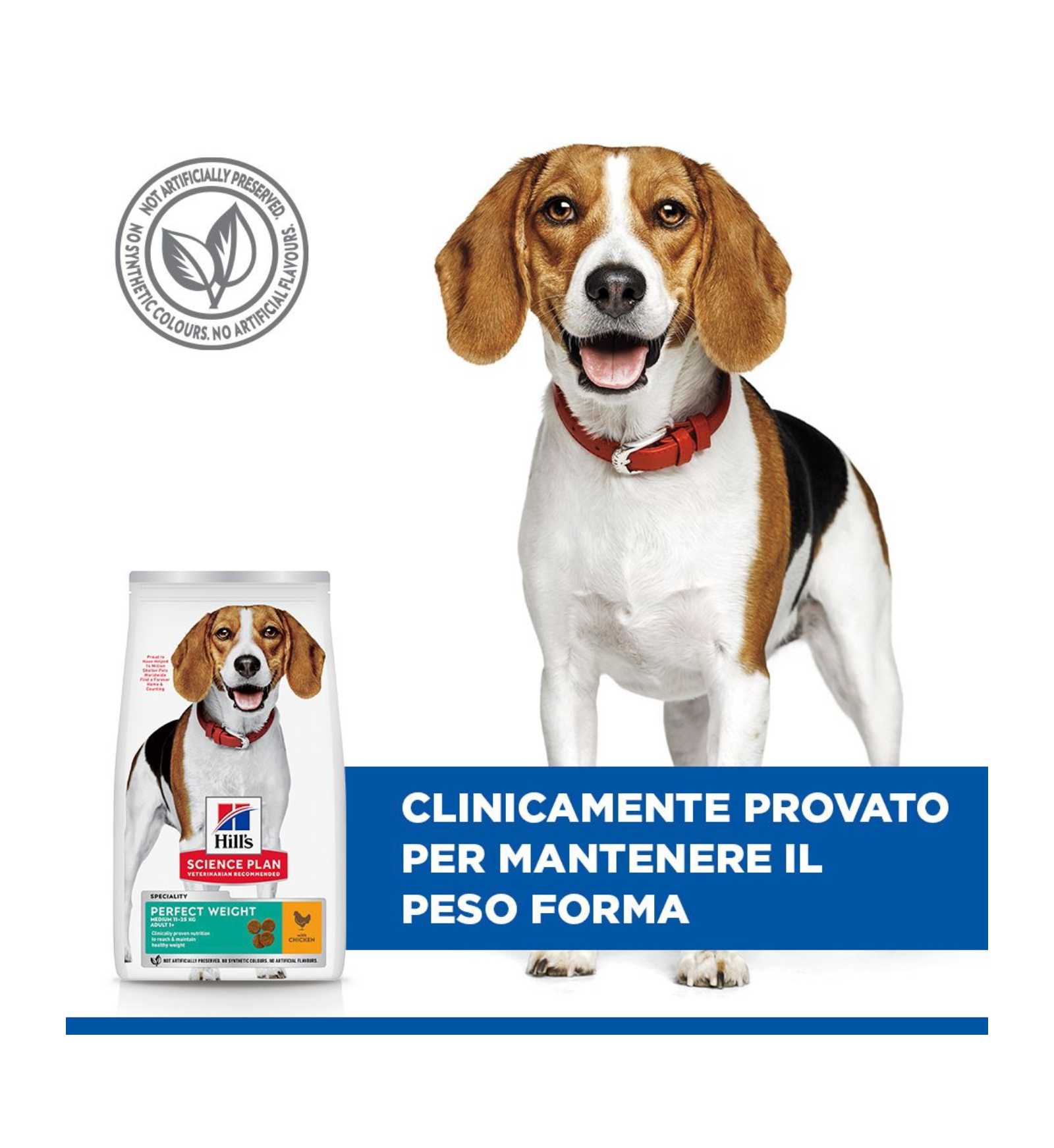 HILLS604297_6__Server-Mago_Mago4_Custom_Companies_ZOOEXPERT_SRL_Applications_ERP_Items_Files_Images_AllUsers_604297_17.jpg HILLS604297 picture