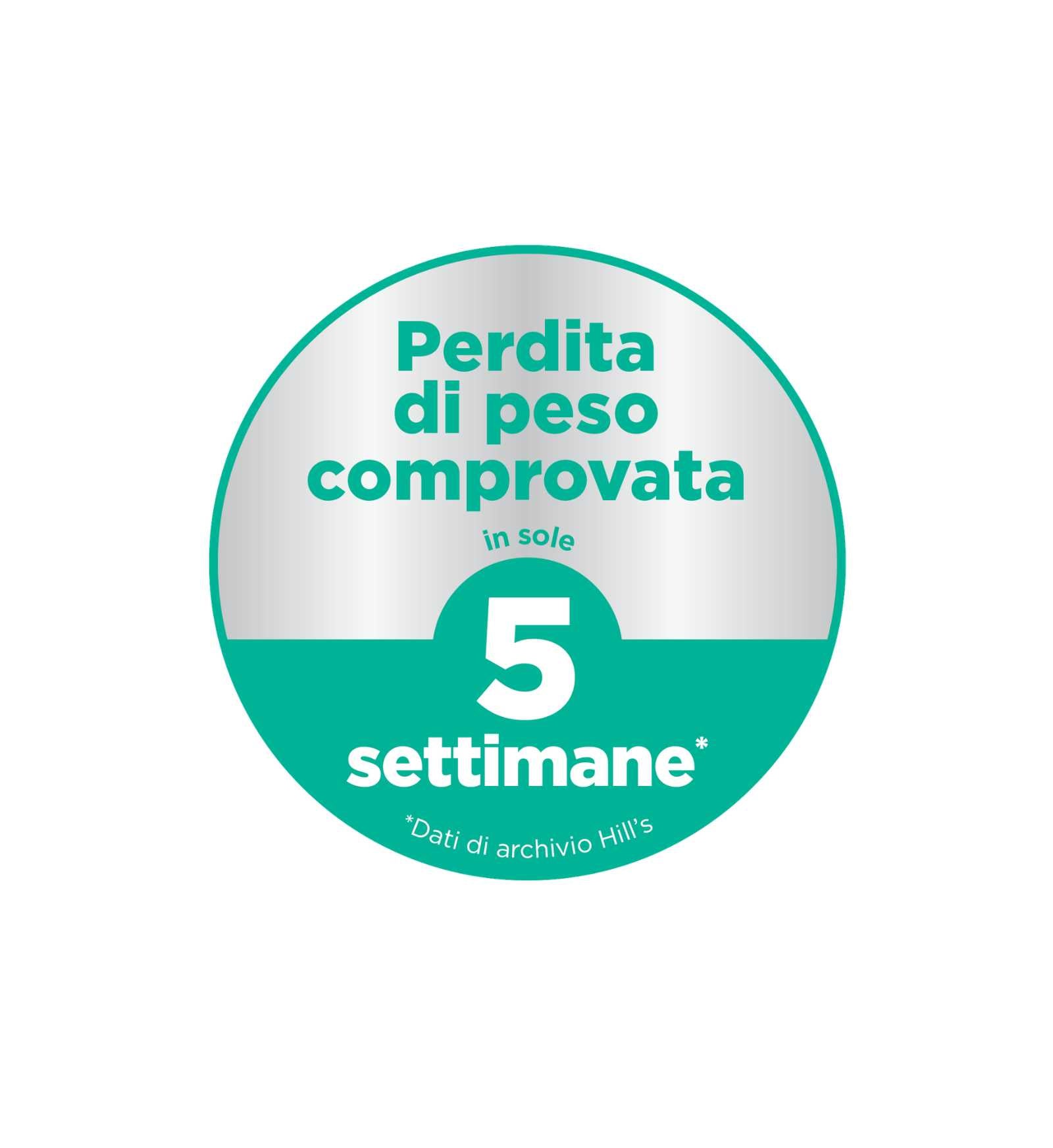 HILLS604297_7__Server-Mago_Mago4_Custom_Companies_ZOOEXPERT_SRL_Applications_ERP_Items_Files_Images_AllUsers_604297_18.jpg HILLS604297 picture