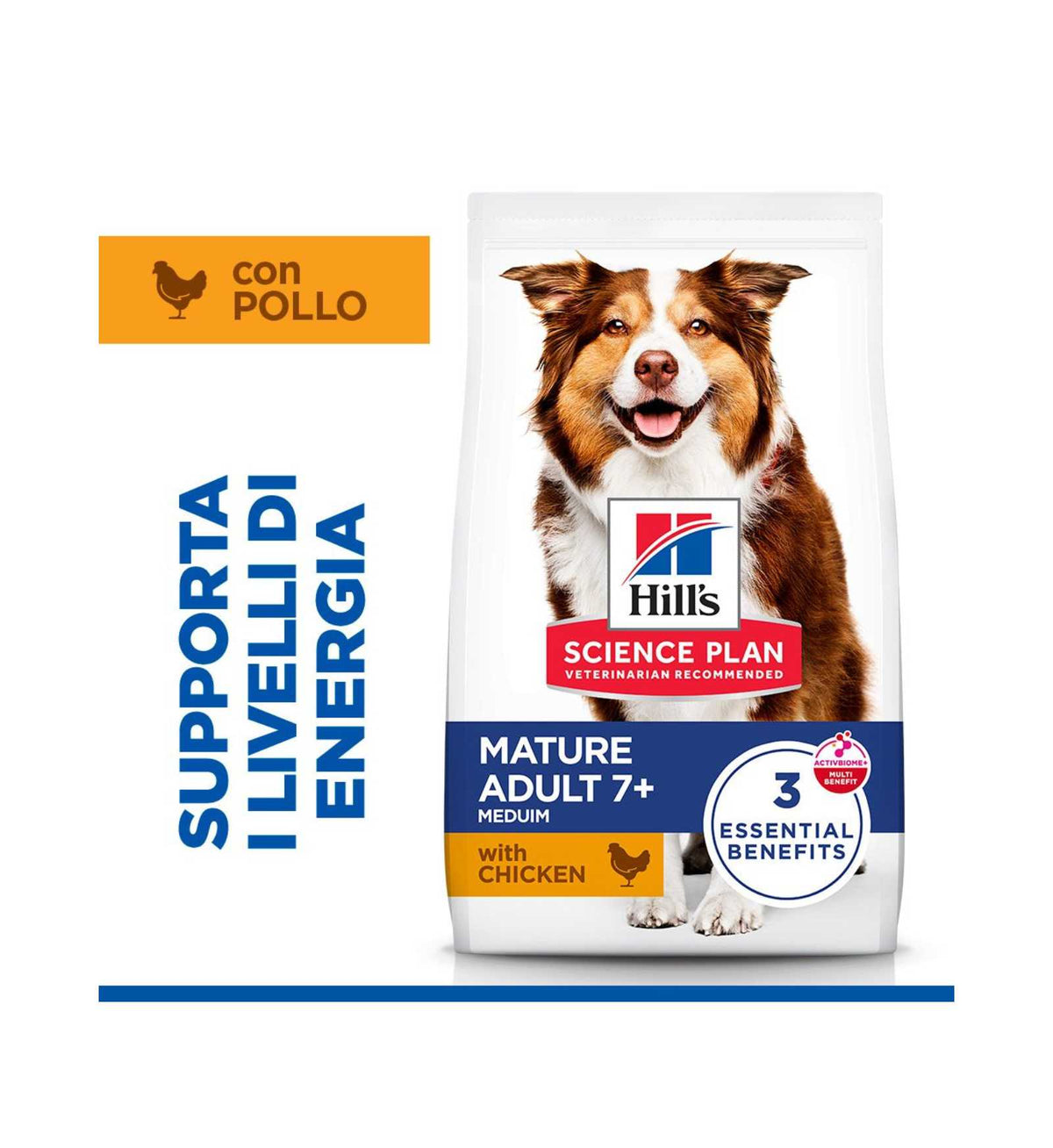 HILLS604378_3__Server-Mago_Mago4_Custom_Companies_ZOOEXPERT_SRL_Applications_ERP_Items_Files_Images_AllUsers_604378_04.jpg HILLS604378 picture