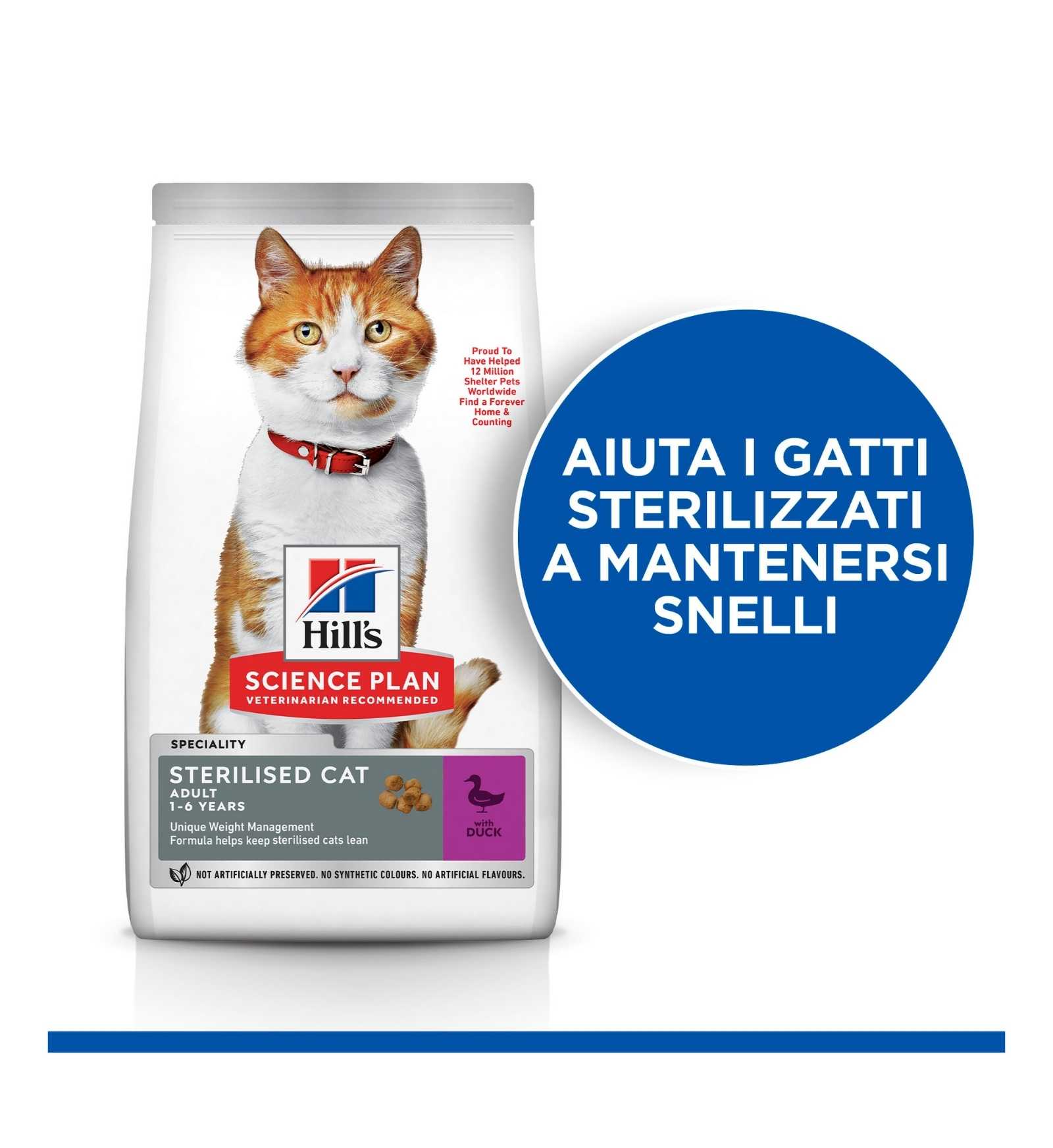 HILLS605252_17_Image.erp.items.images.607277_17.jpg HILLS605252 picture