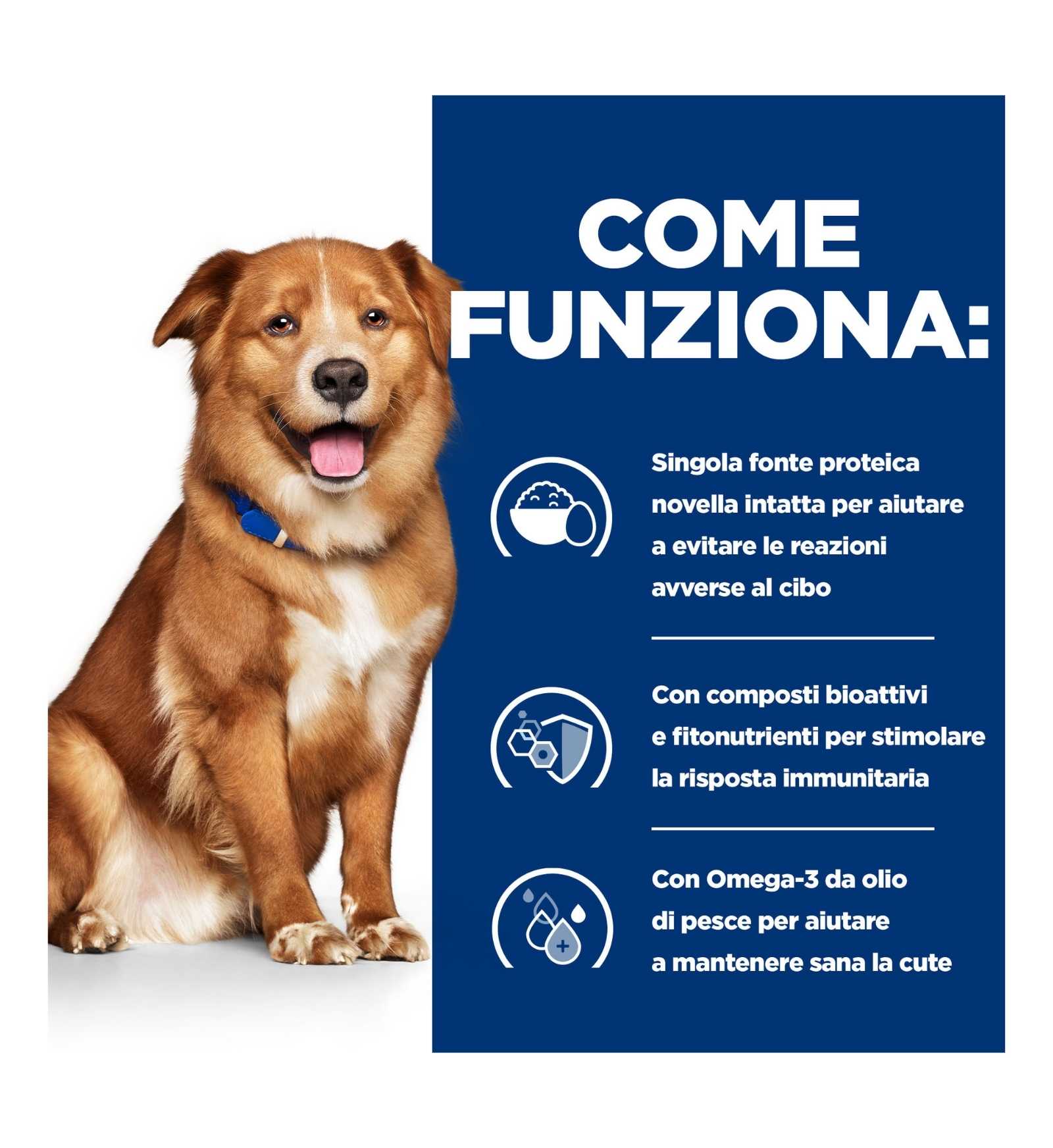 HILLS605529_17_Image.erp.items.images.605869_17.jpg HILLS605529 picture