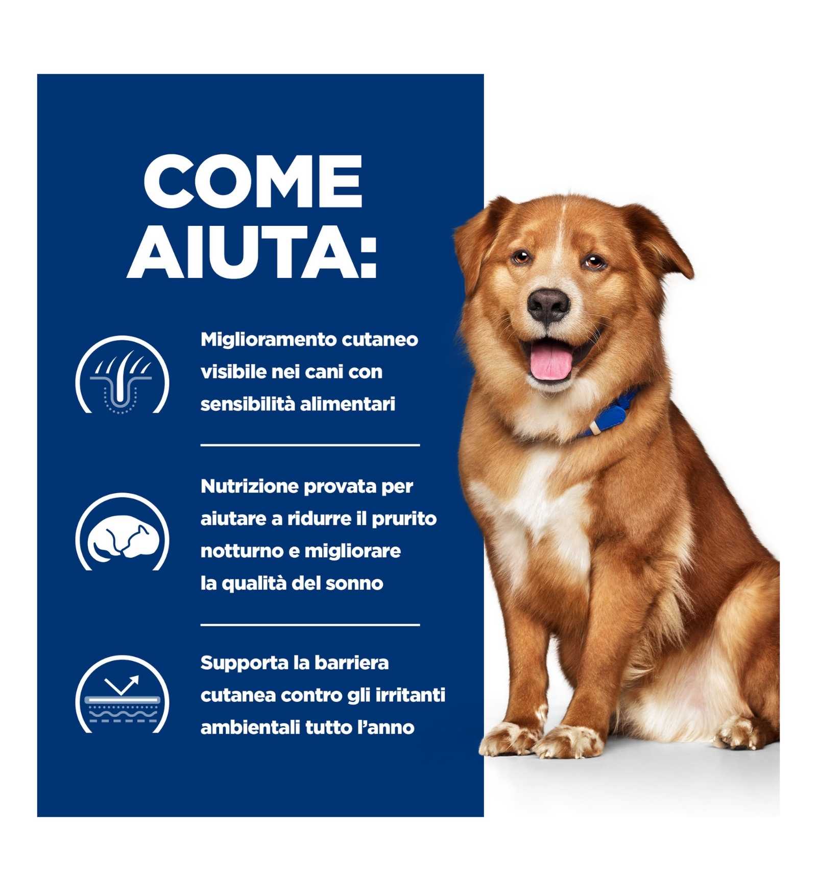 HILLS605539_16_Image.erp.items.images.608148_16.jpg HILLS605539 picture