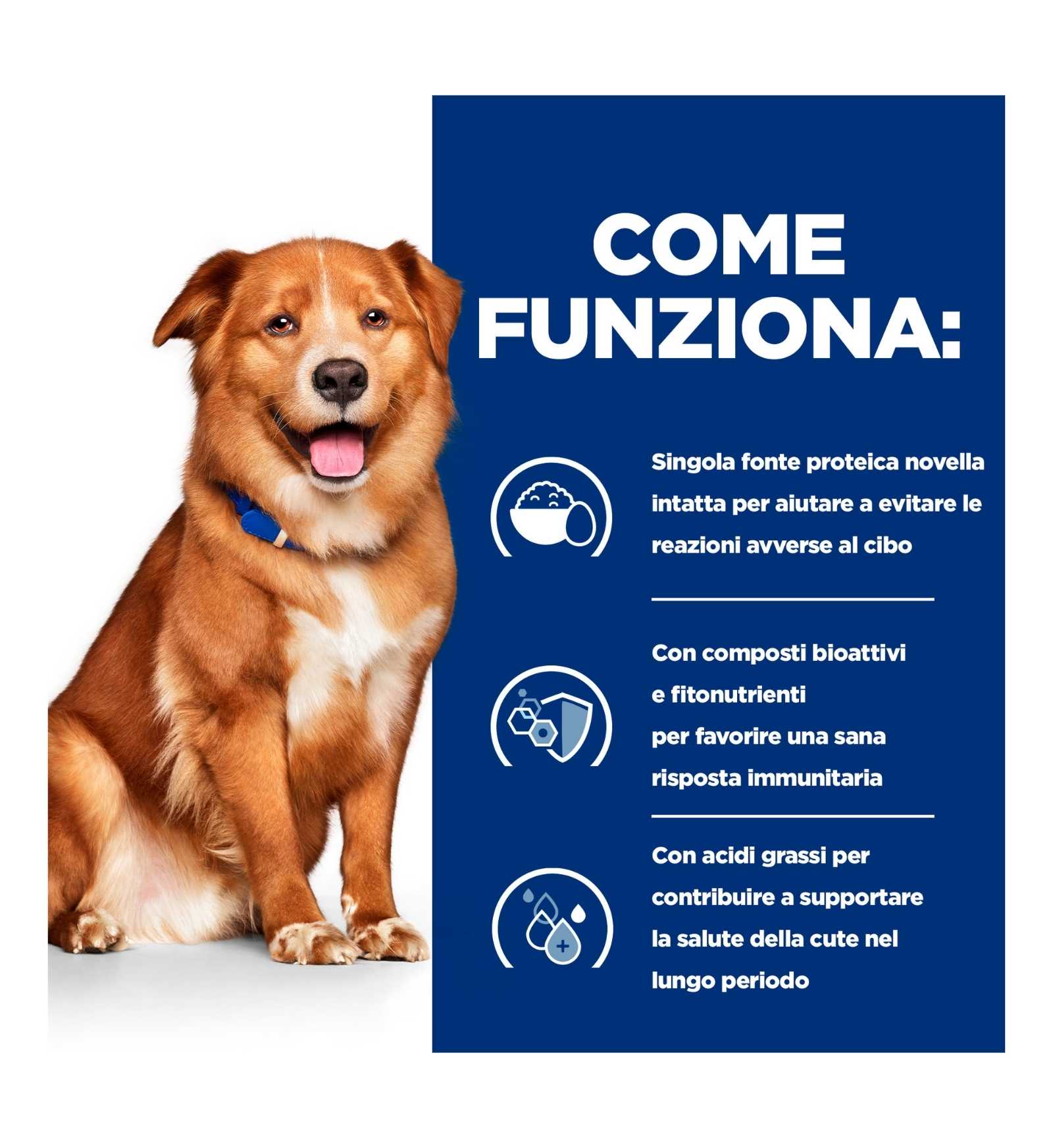 HILLS605539_17_Image.erp.items.images.608148_17.jpg HILLS605539 picture