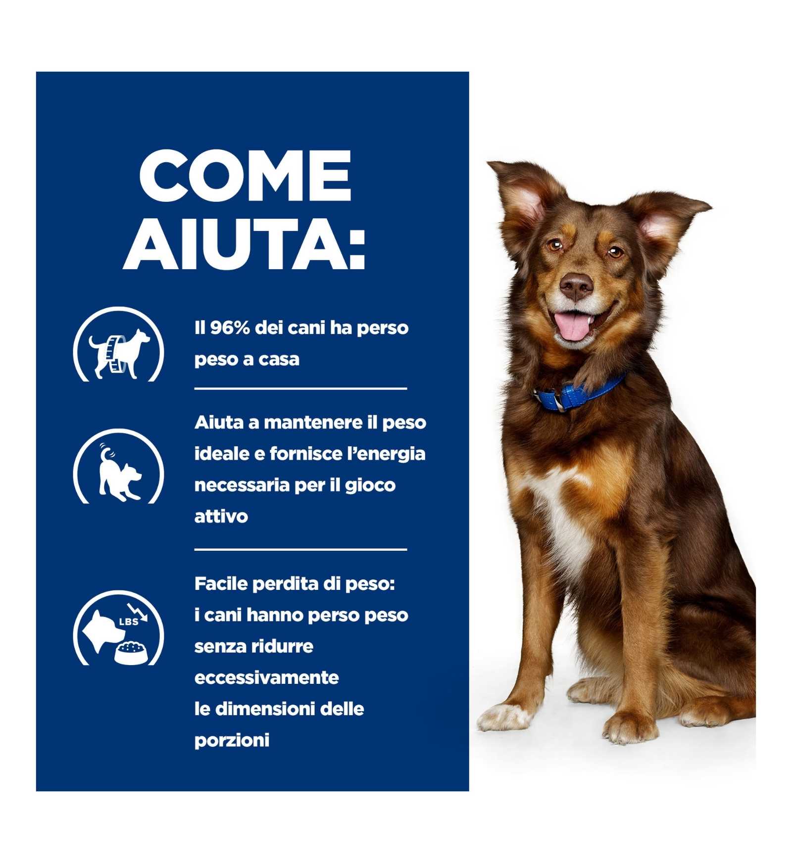 HILLS606044_16_Image.erp.items.images.606044_16.jpg HILLS606044 picture