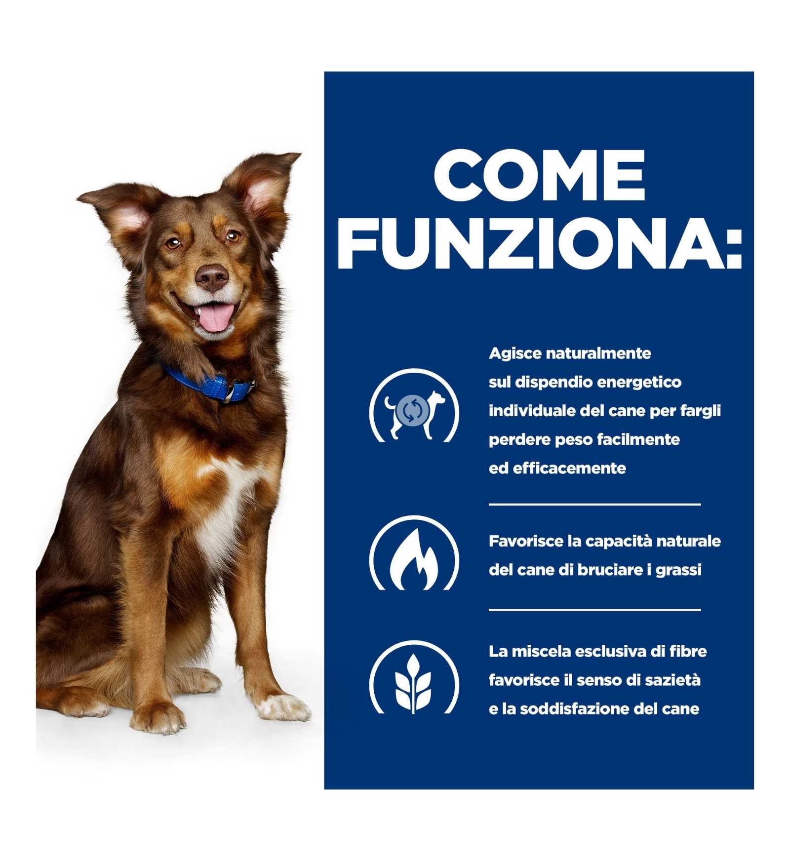 HILLS606044_17_Image.erp.items.images.606044_17.jpg HILLS606044 picture