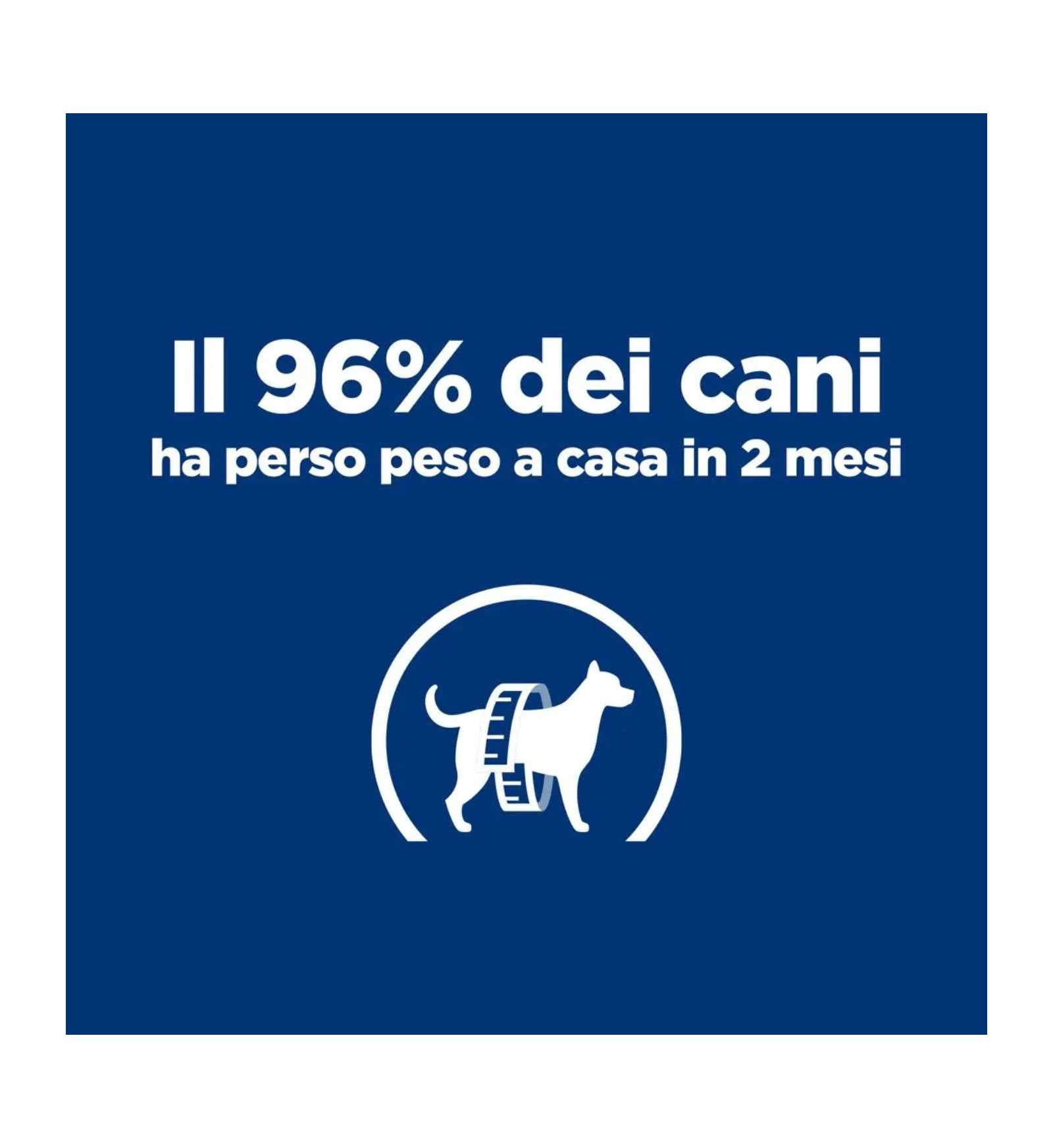 HILLS606044_18__Server-Mago_Mago4_Custom_Companies_ZOOEXPERT_SRL_Applications_ERP_Items_Files_Images_AllUsers_606044_18.jpg HILLS606044 picture