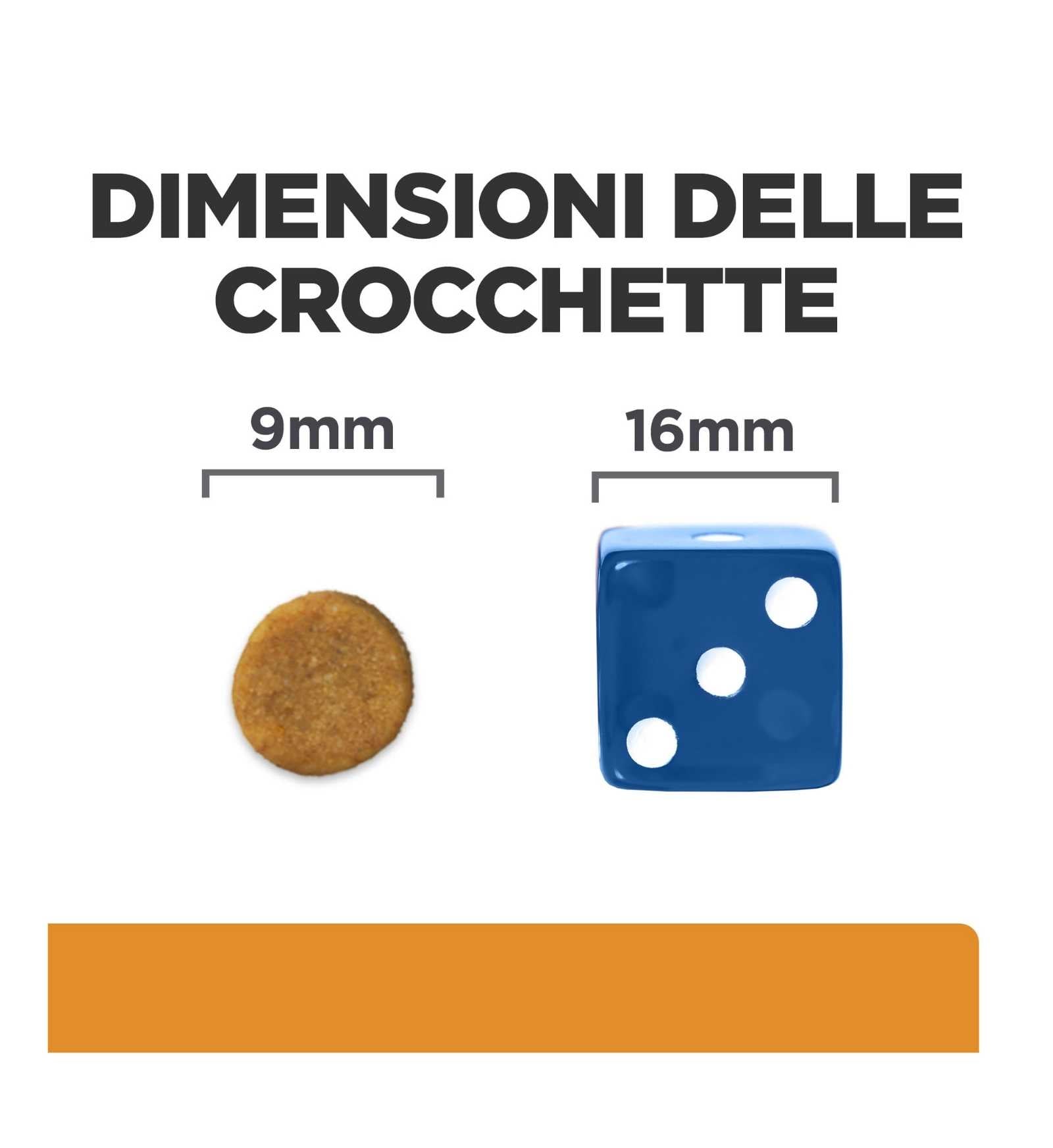 HILLS606575_12_Image.erp.items.images.605988_12.jpg HILLS606575 picture