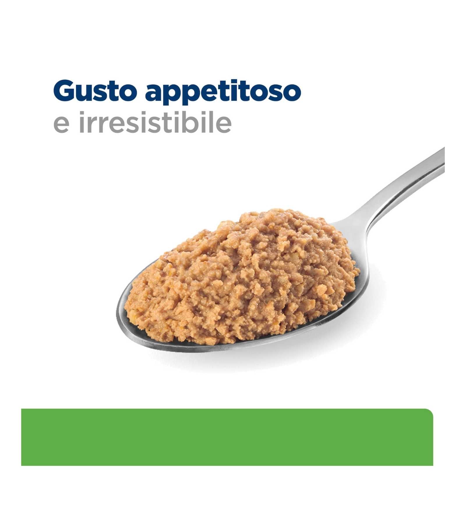 HILLS607714_12_Image.erp.items.images.607714_12.jpg HILLS607714 picture