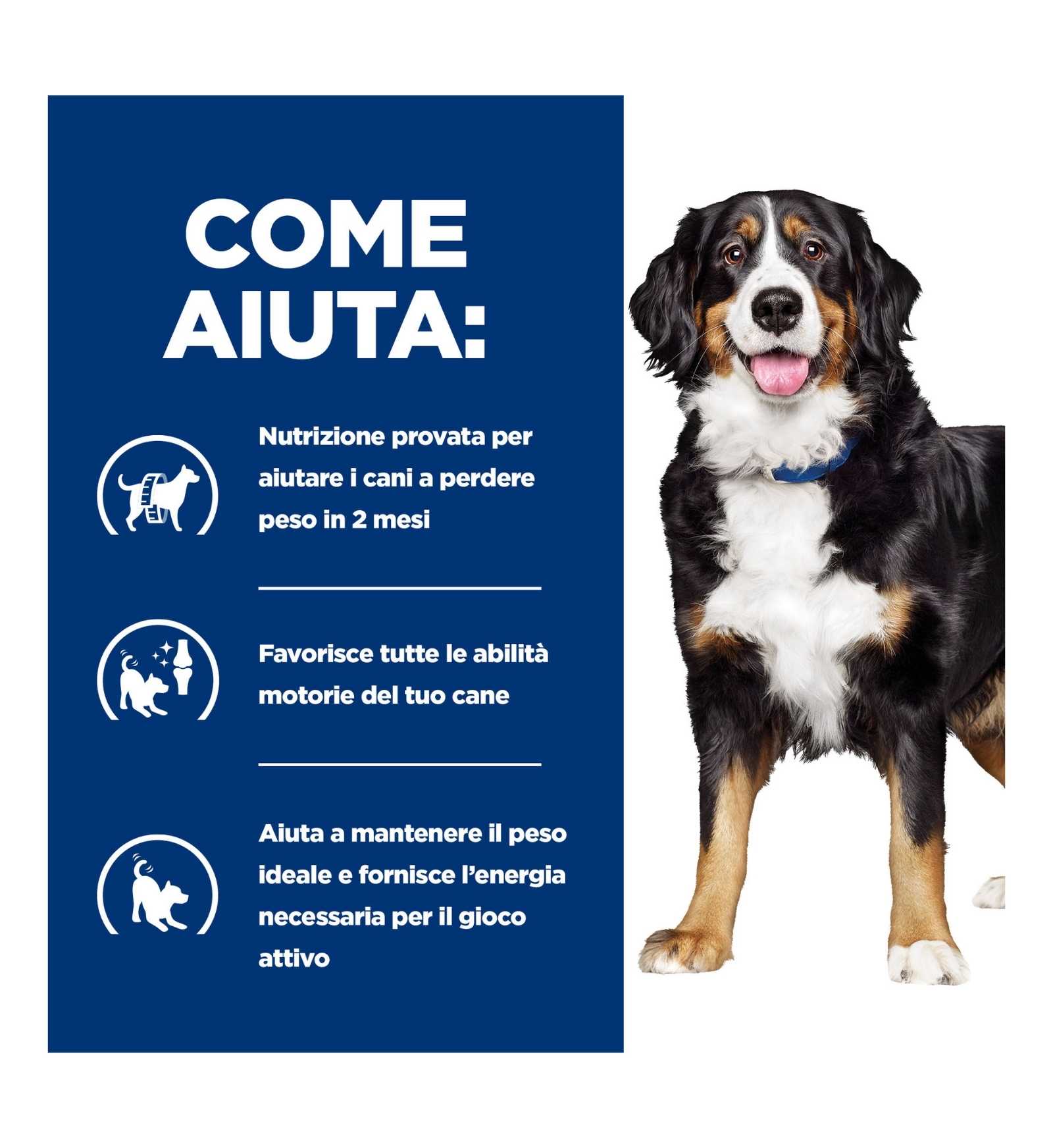 HILLS607714_16_Image.erp.items.images.607714_16.jpg HILLS607714 picture