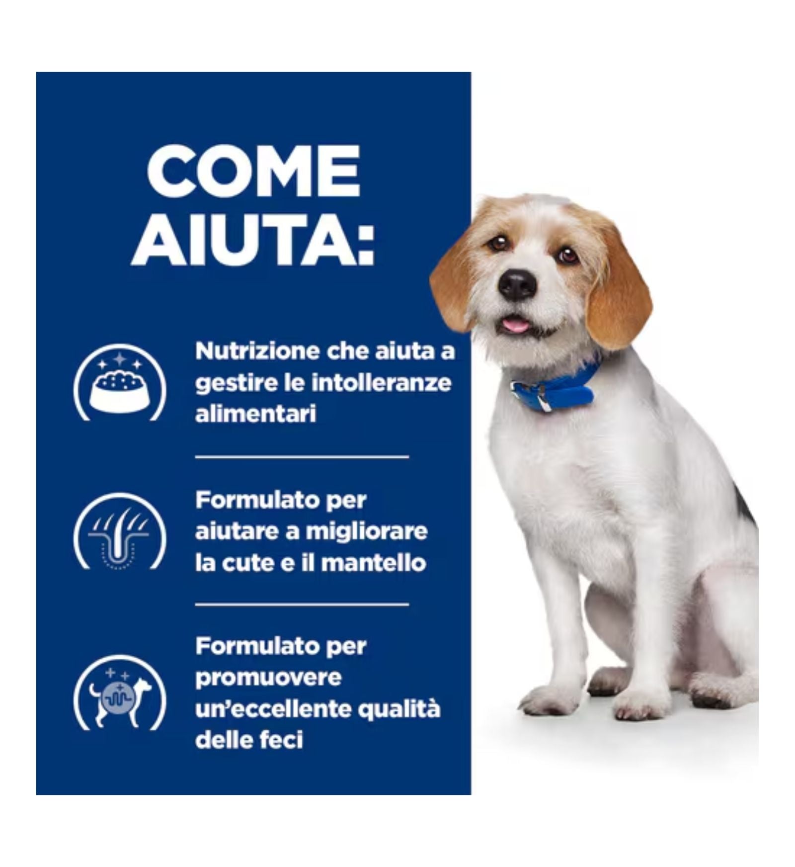 HILLS608038_5__Server-Mago_Mago4_Custom_Companies_ZOOEXPERT_SRL_Applications_erp_items_Files_images_AllUsers_608038_16.jpg HILLS608038 picture